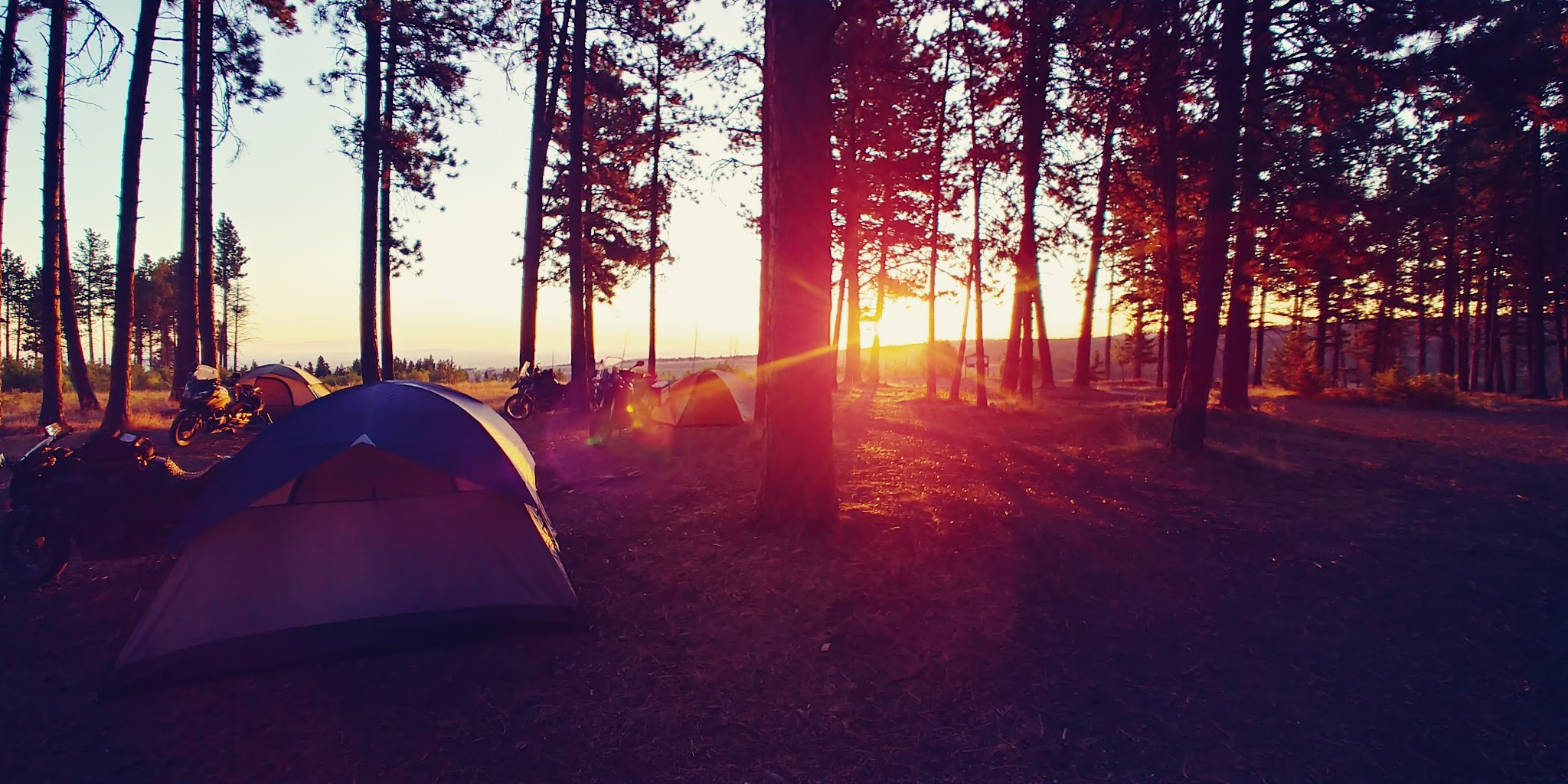 Forest Boundary Campground