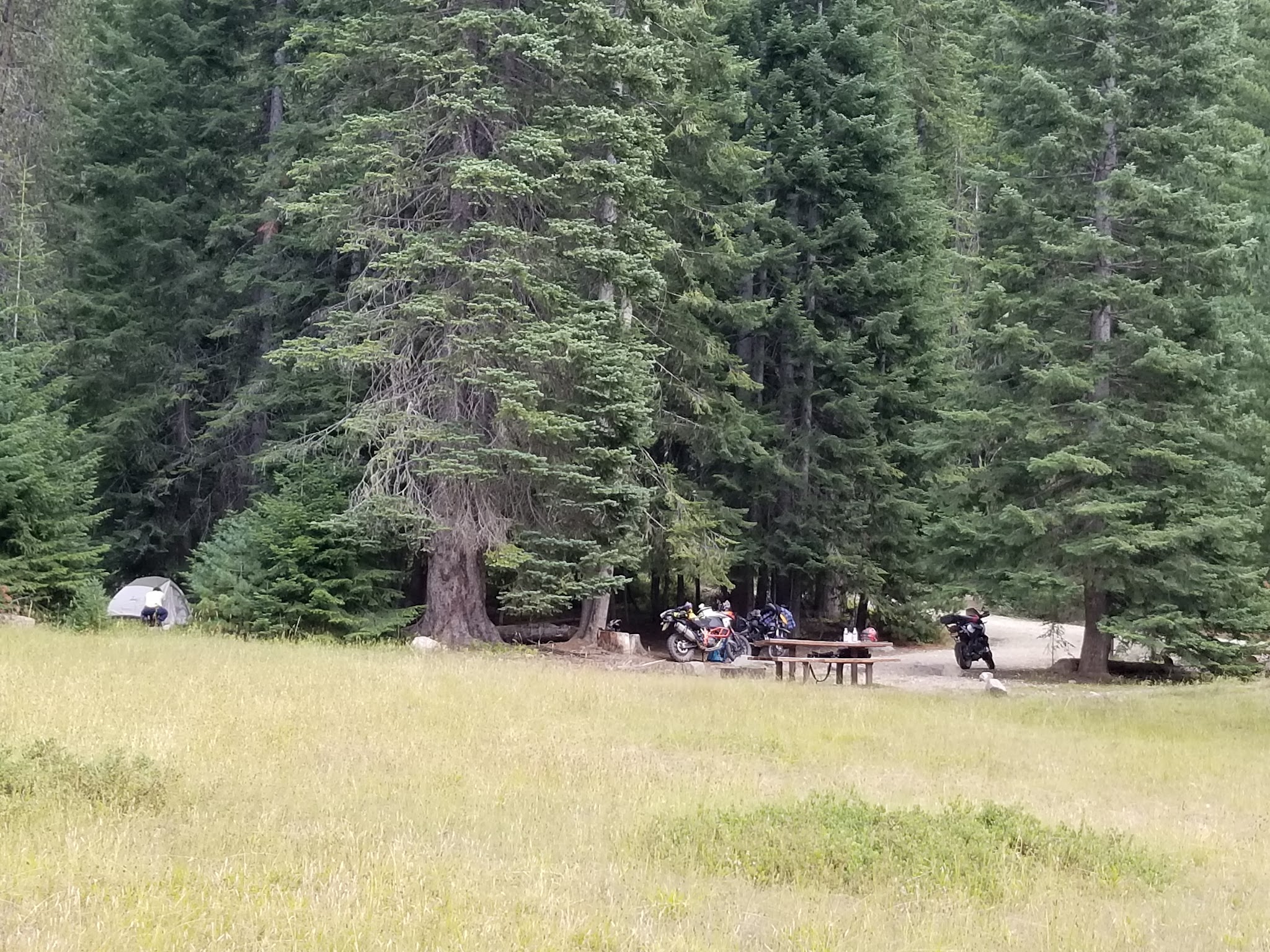 Atkinson Flat Campground