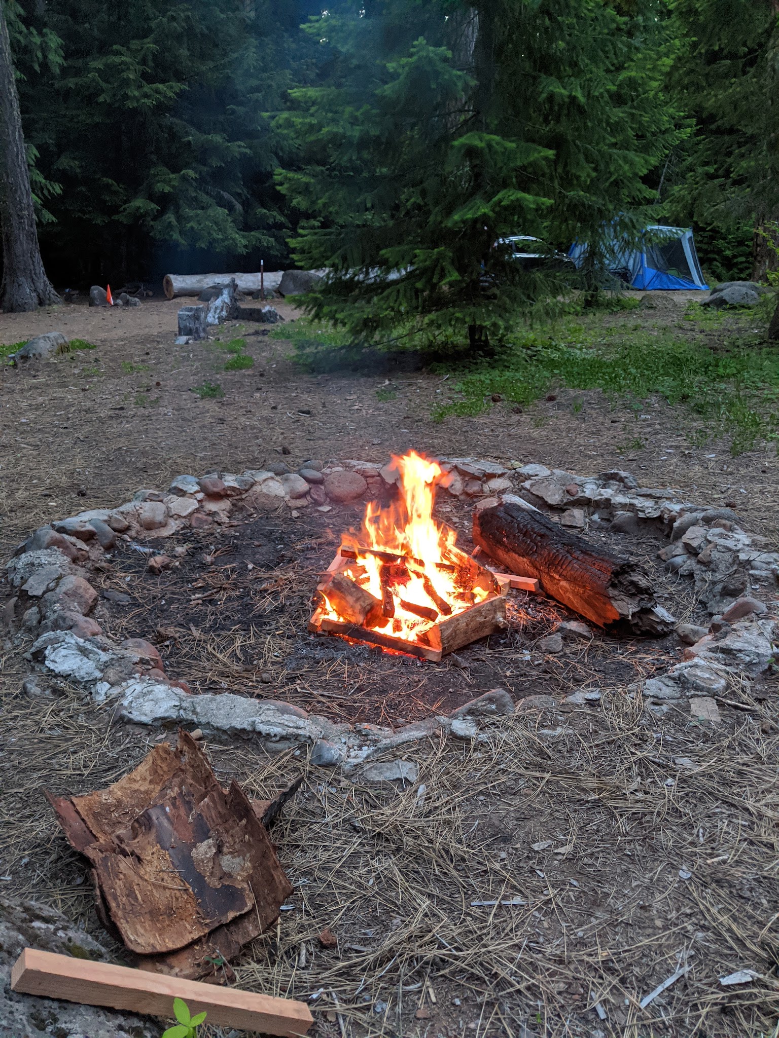 Forest Creek Campground