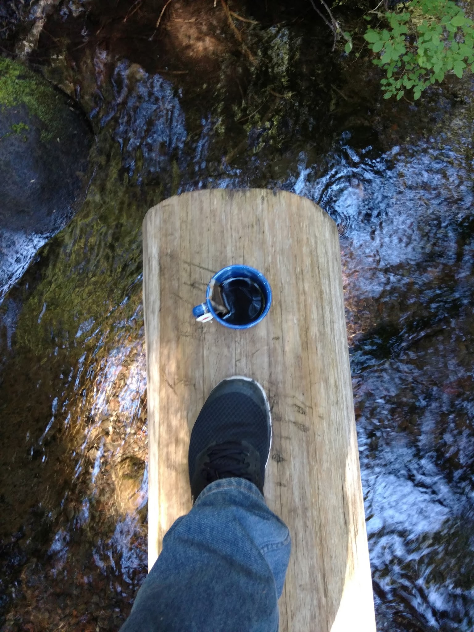 Forest Creek Campground