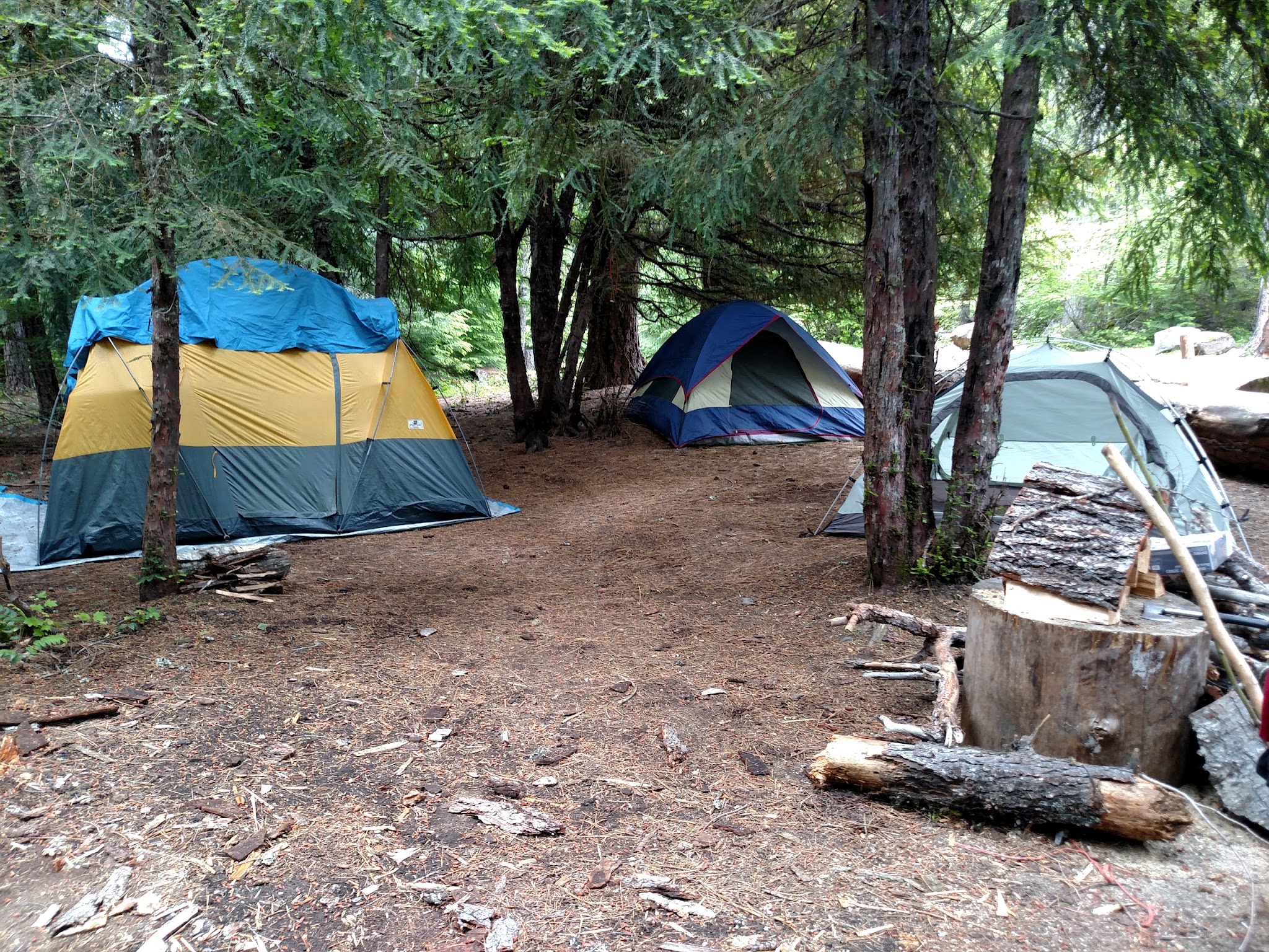 Forest Creek Campground