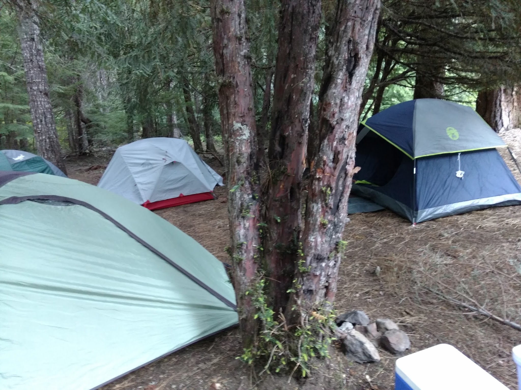 Forest Creek Campground