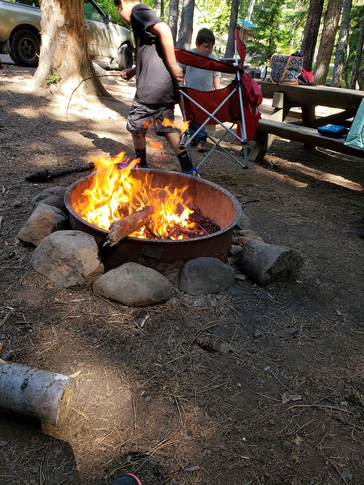 Forest Creek Campground