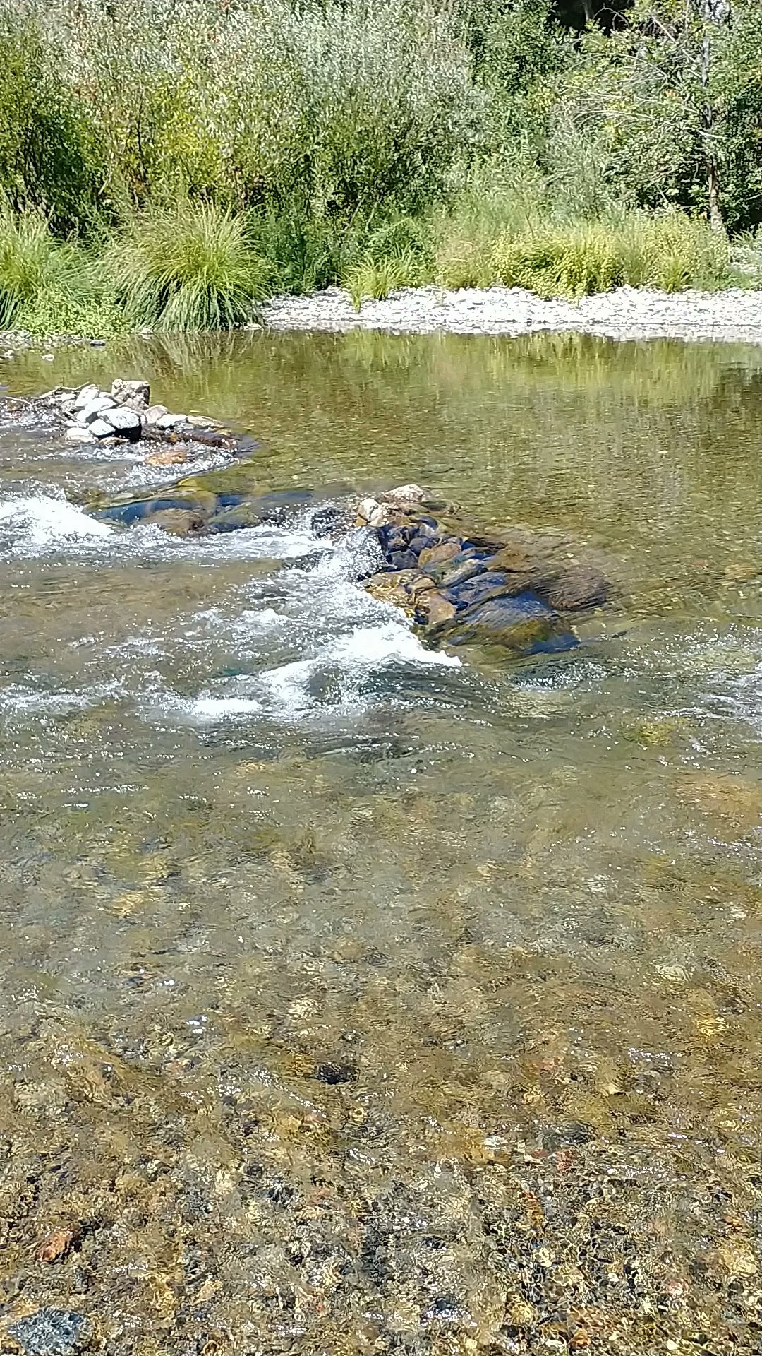 Forest Glen Campground