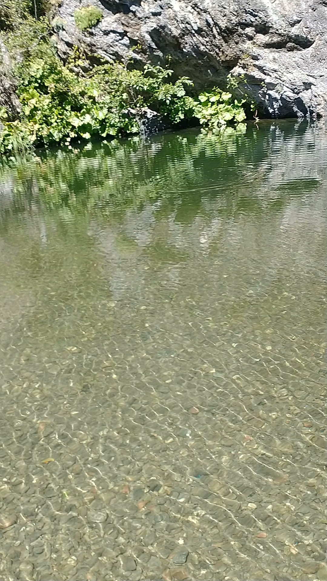 Forest Glen Campground