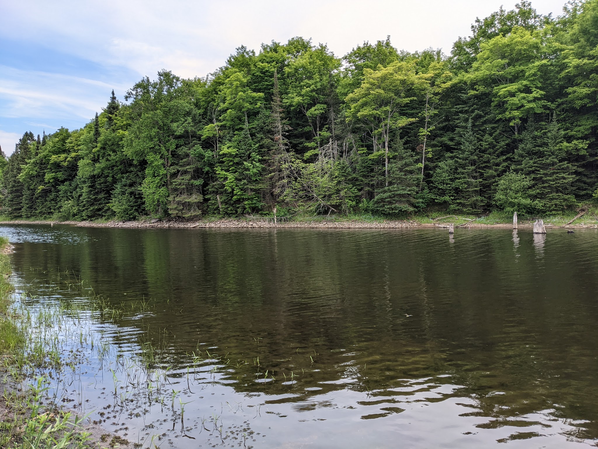 Forest Lake State Forest Campground