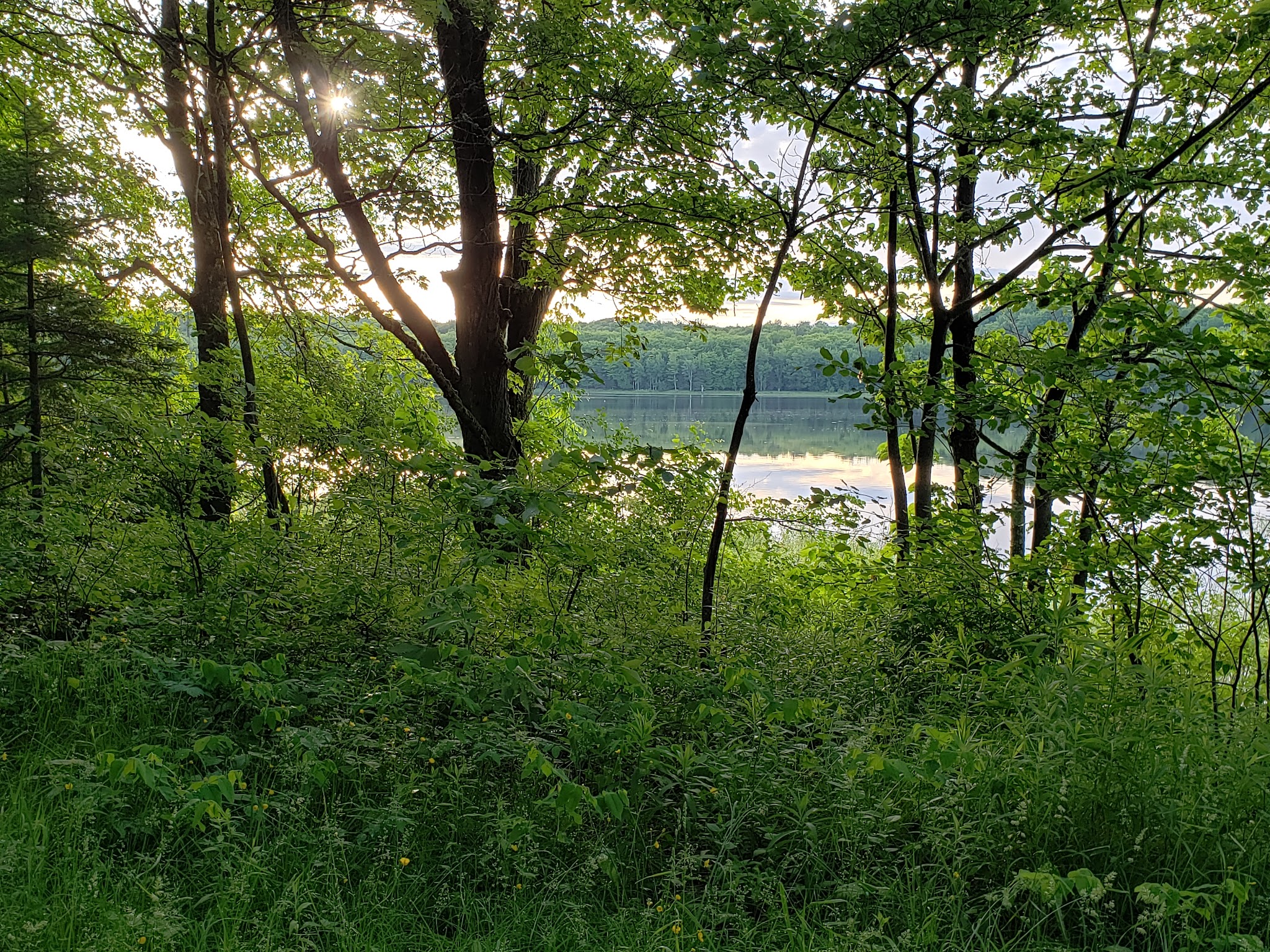 Forest Lake State Forest Campground