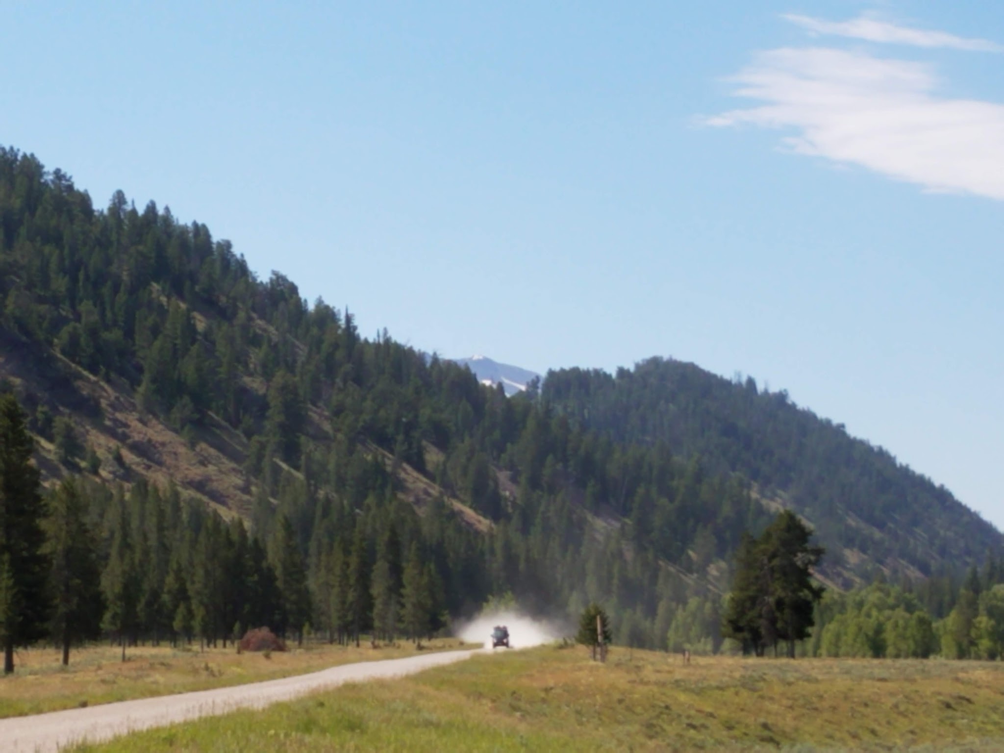 Forest Park Campground