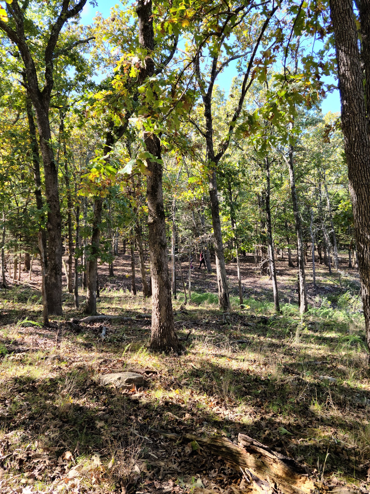 Pomme De Terre Campground