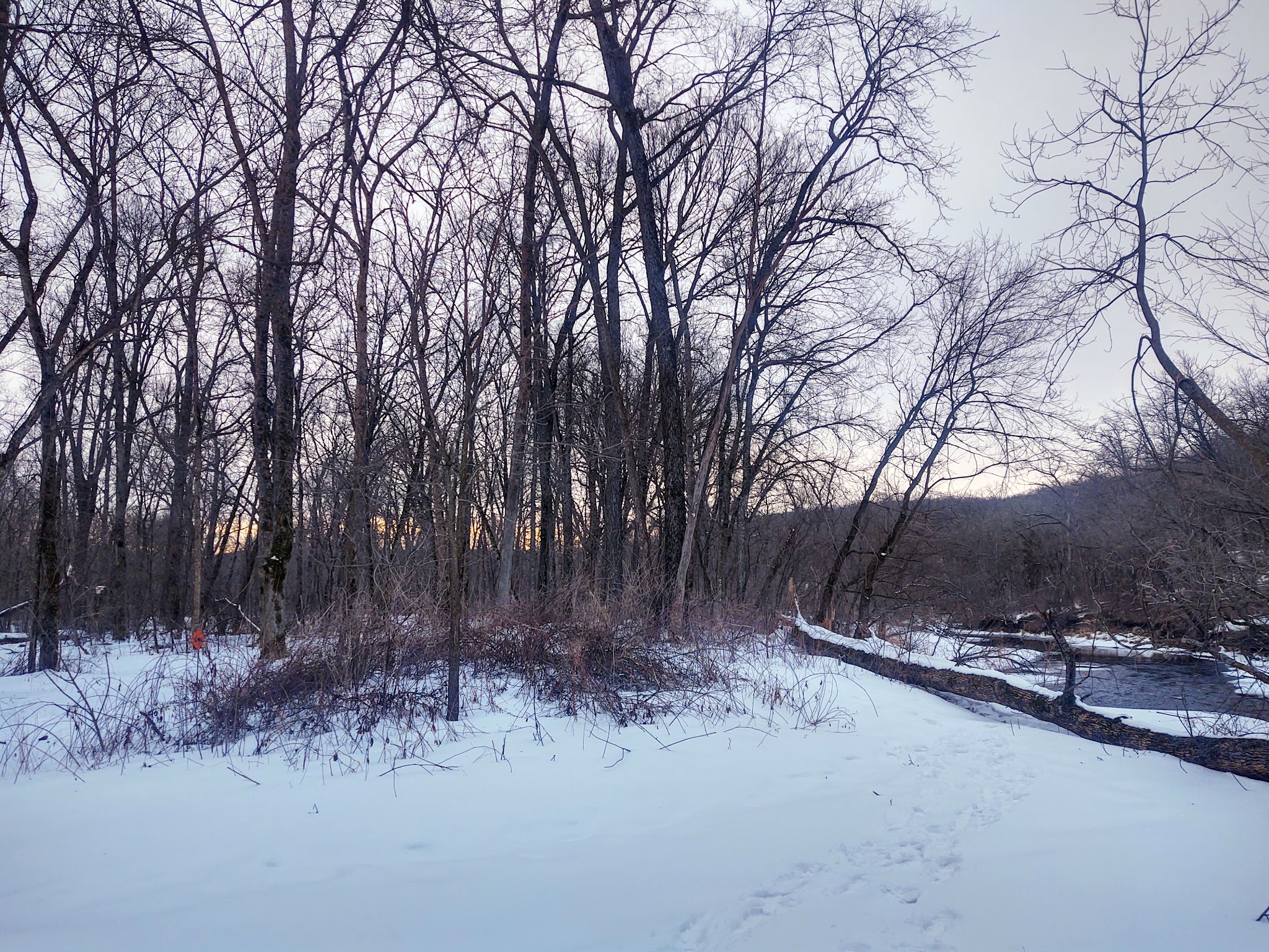 Equestrian - Horse Required Campground