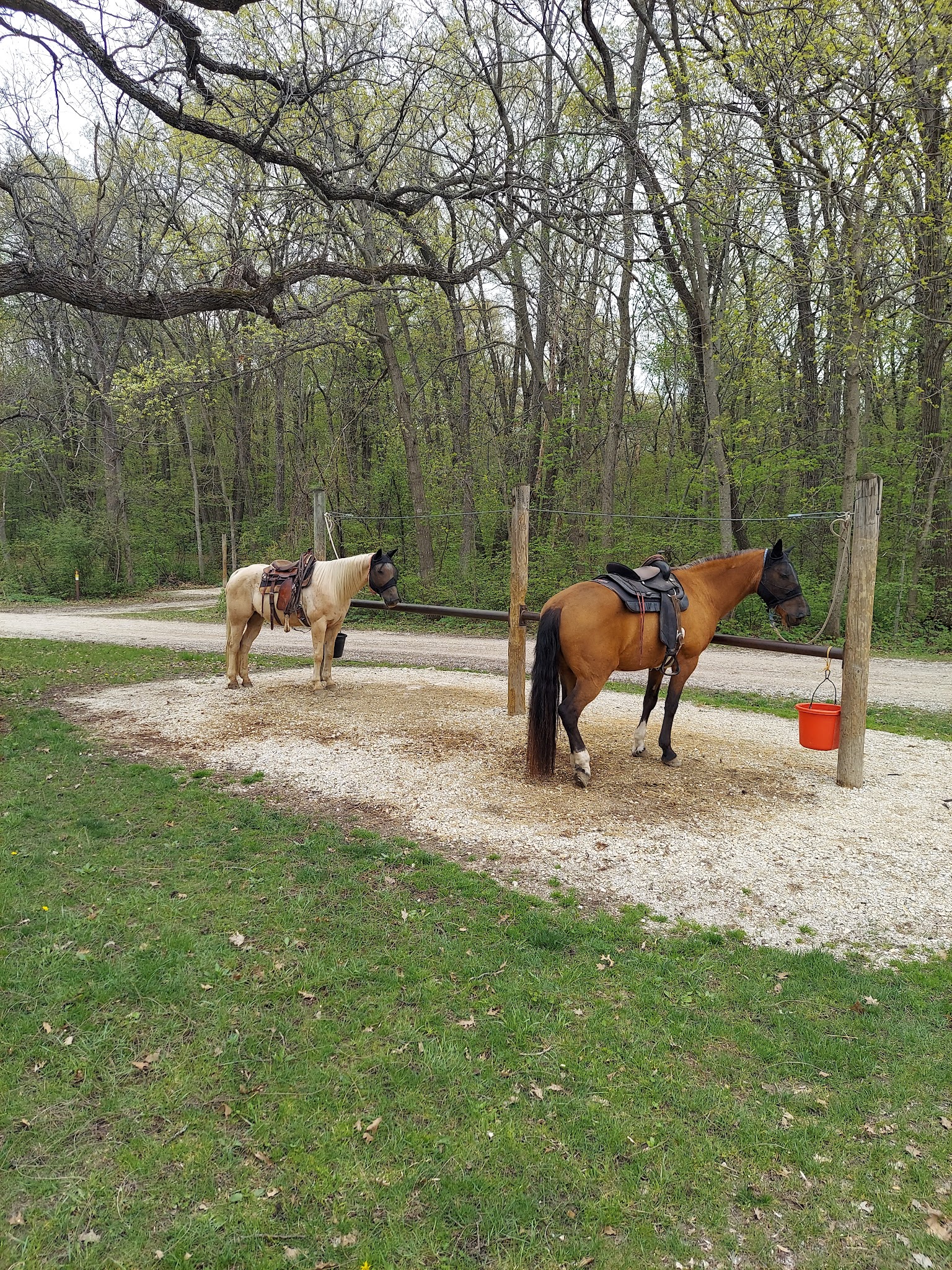 Equestrian - Horse Required Campground