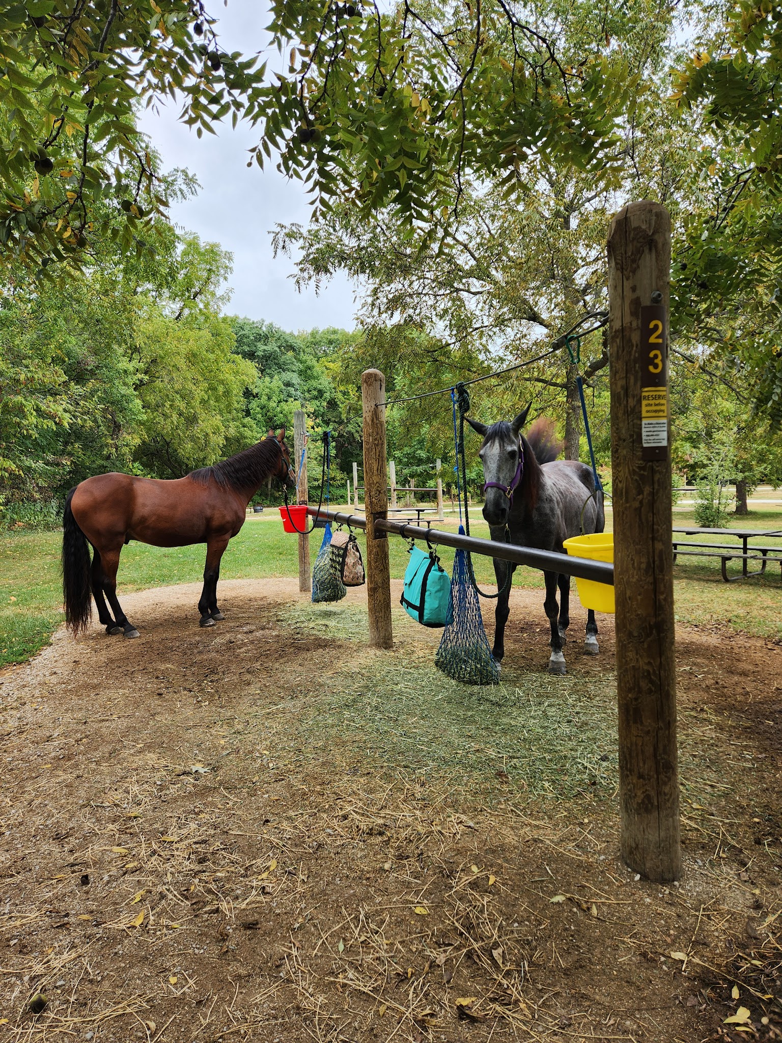 Equestrian - Horse Required Campground