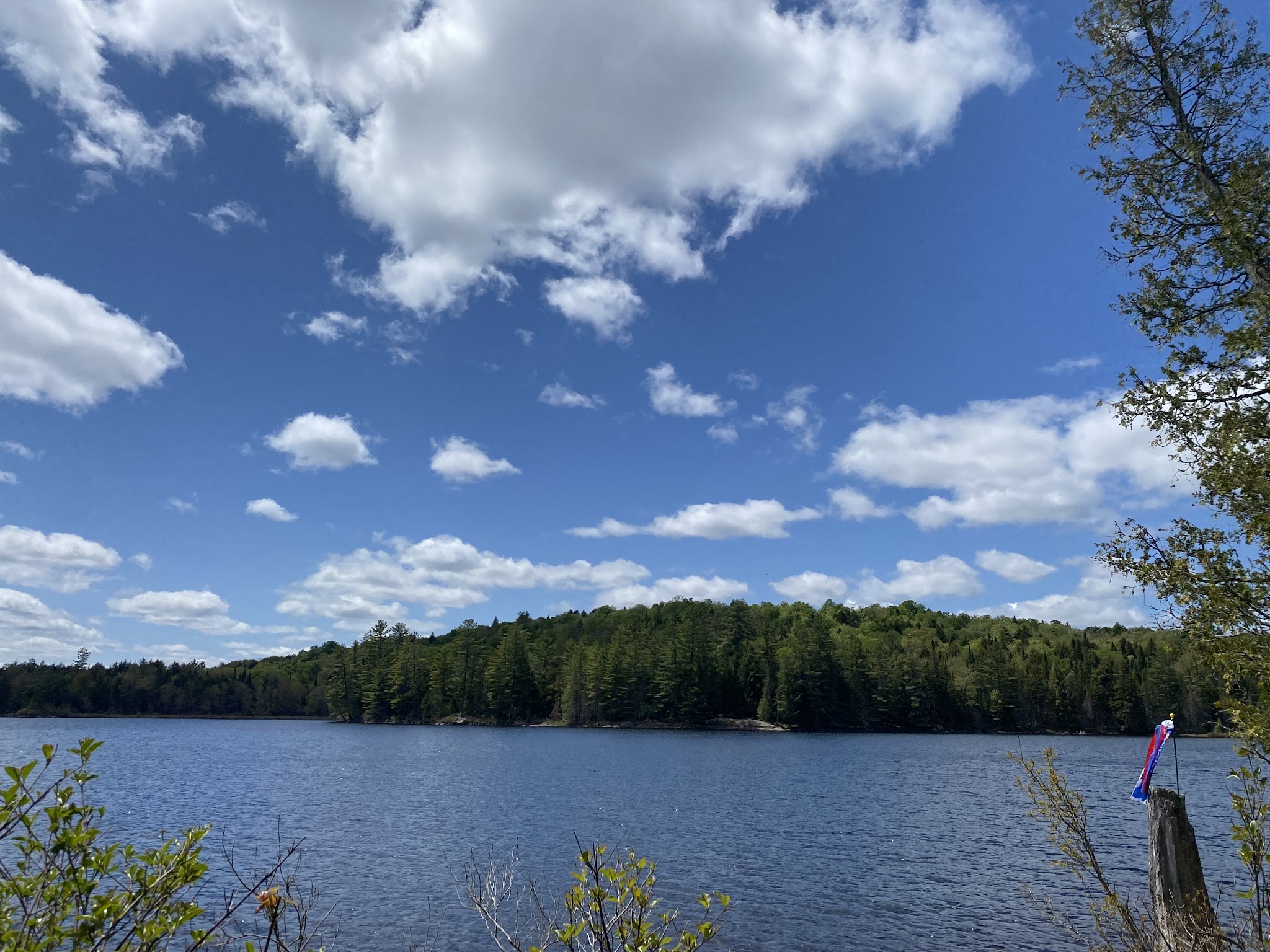 Forked Lake Campground