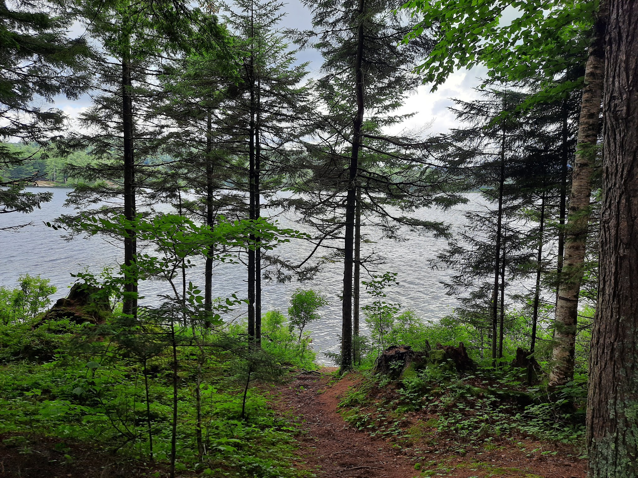 Forked Lake Campground