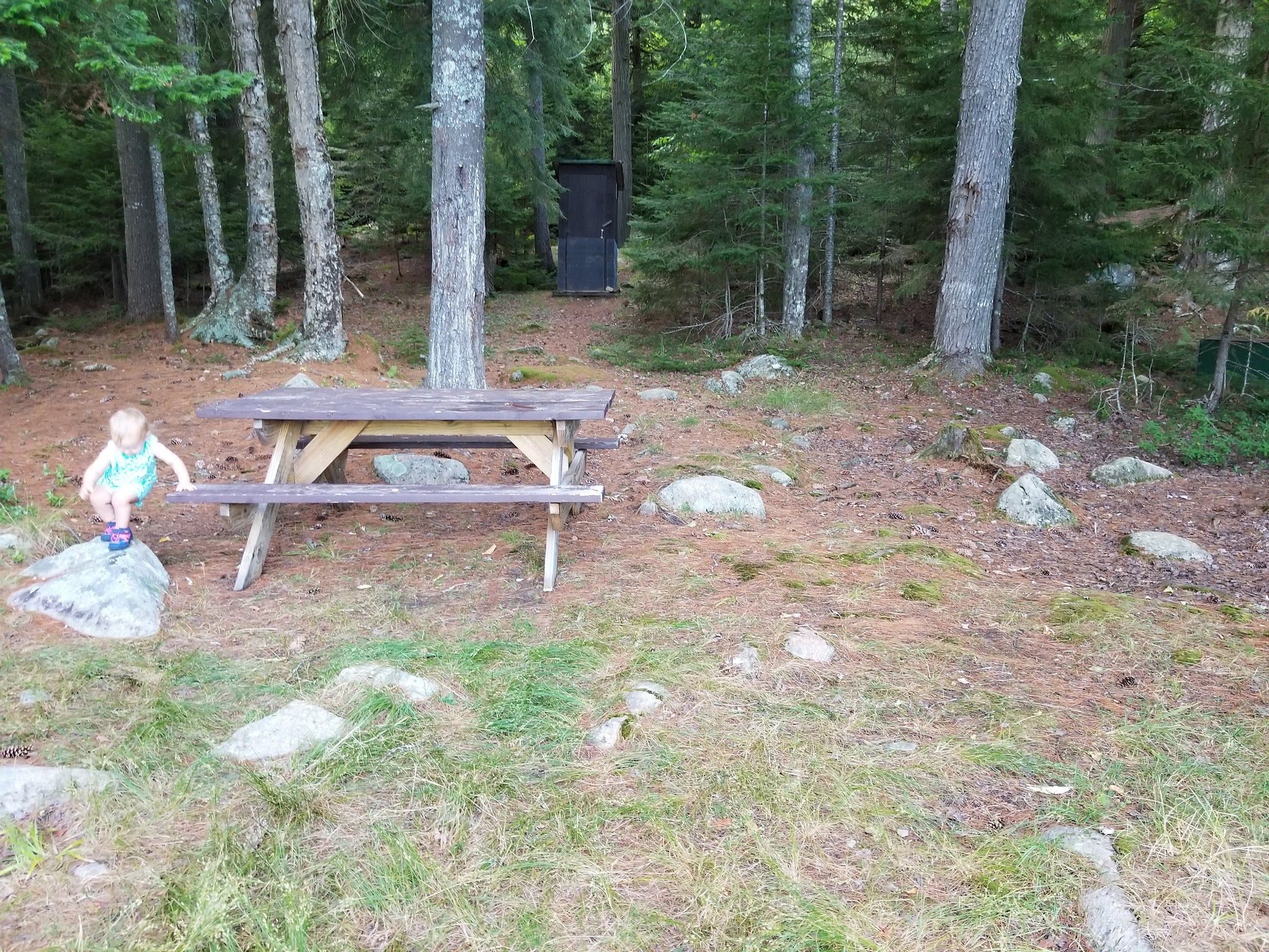Forked Lake Campground