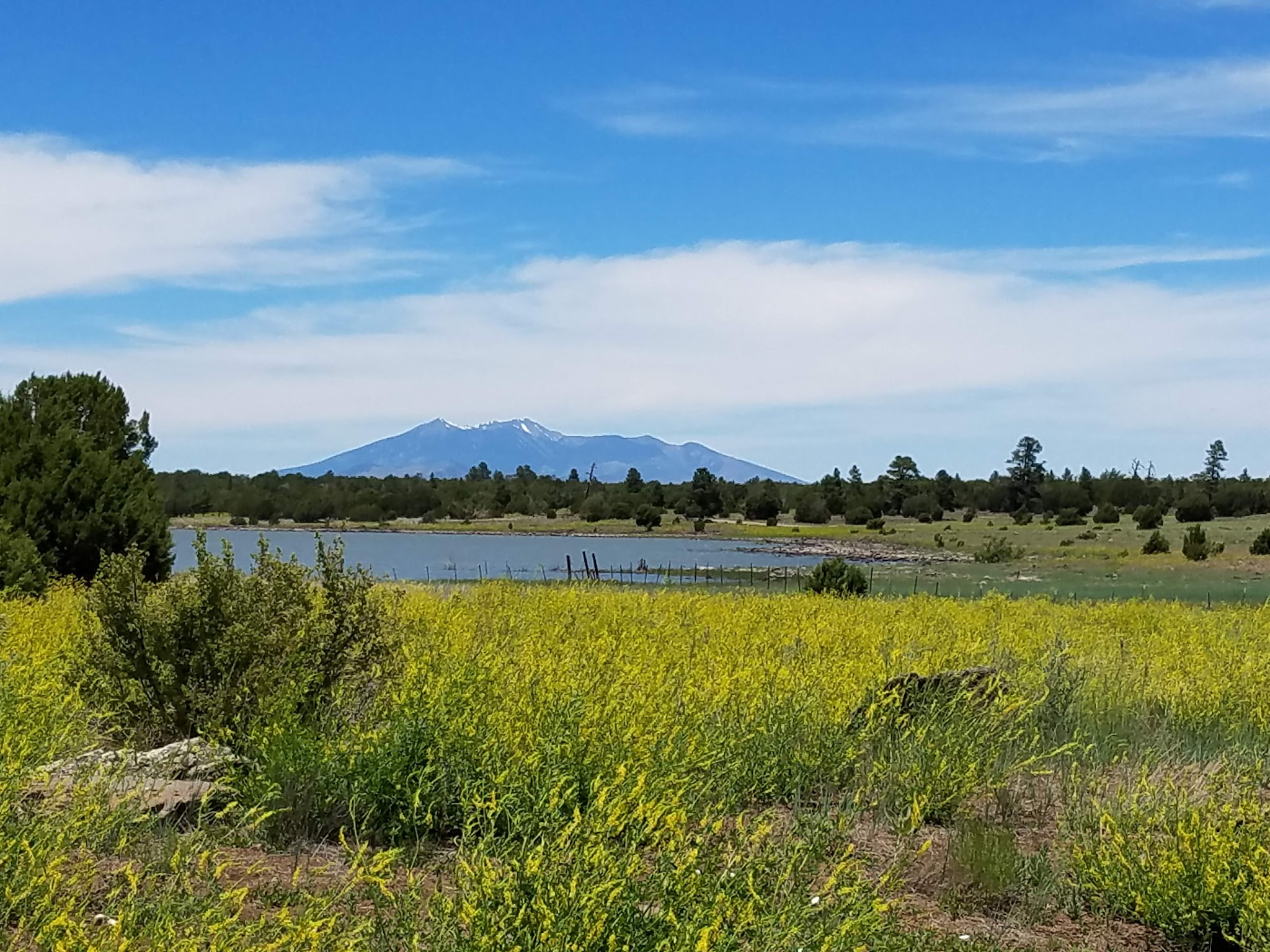Forked Pine Campground