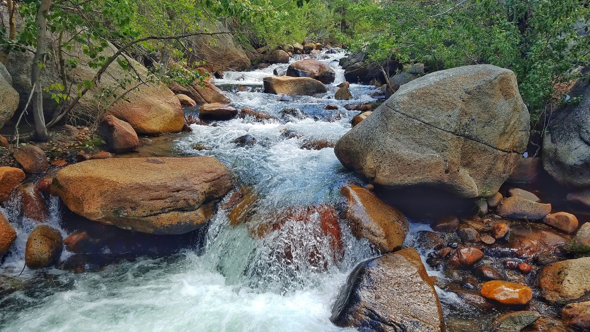 Forks Campground (Inyo)