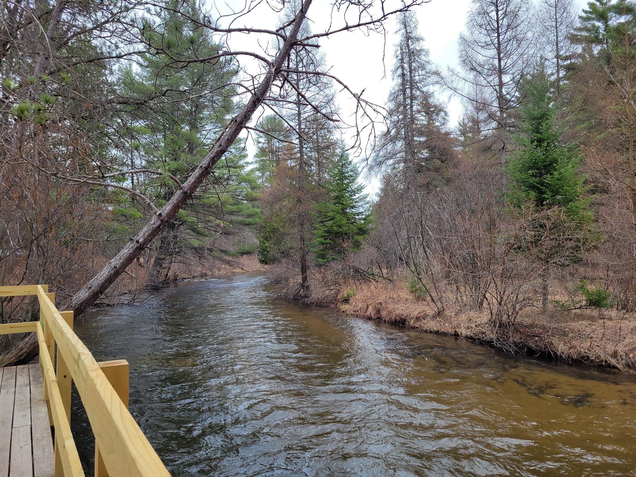 Forks State Forest Campground