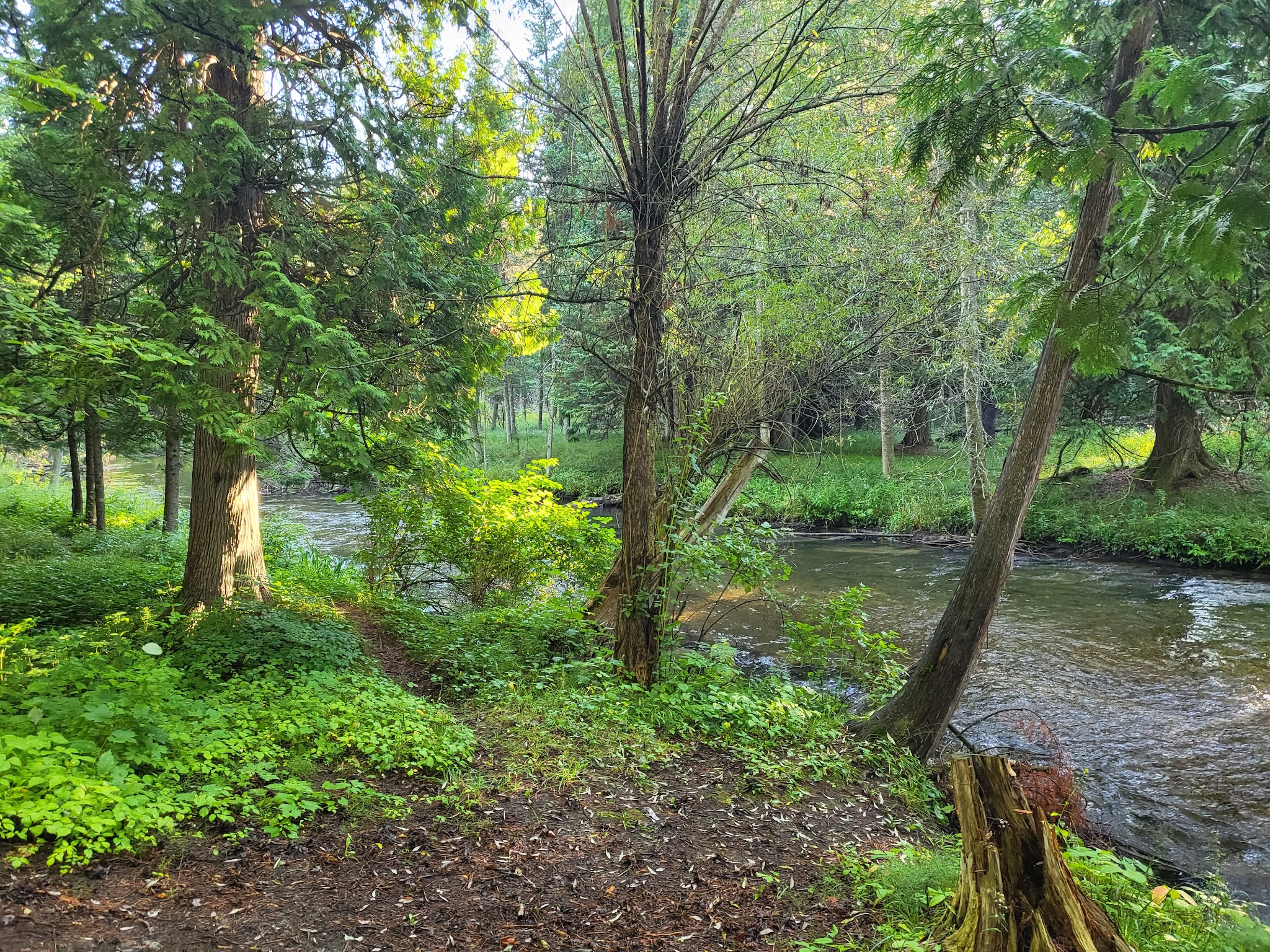 Forks State Forest Campground