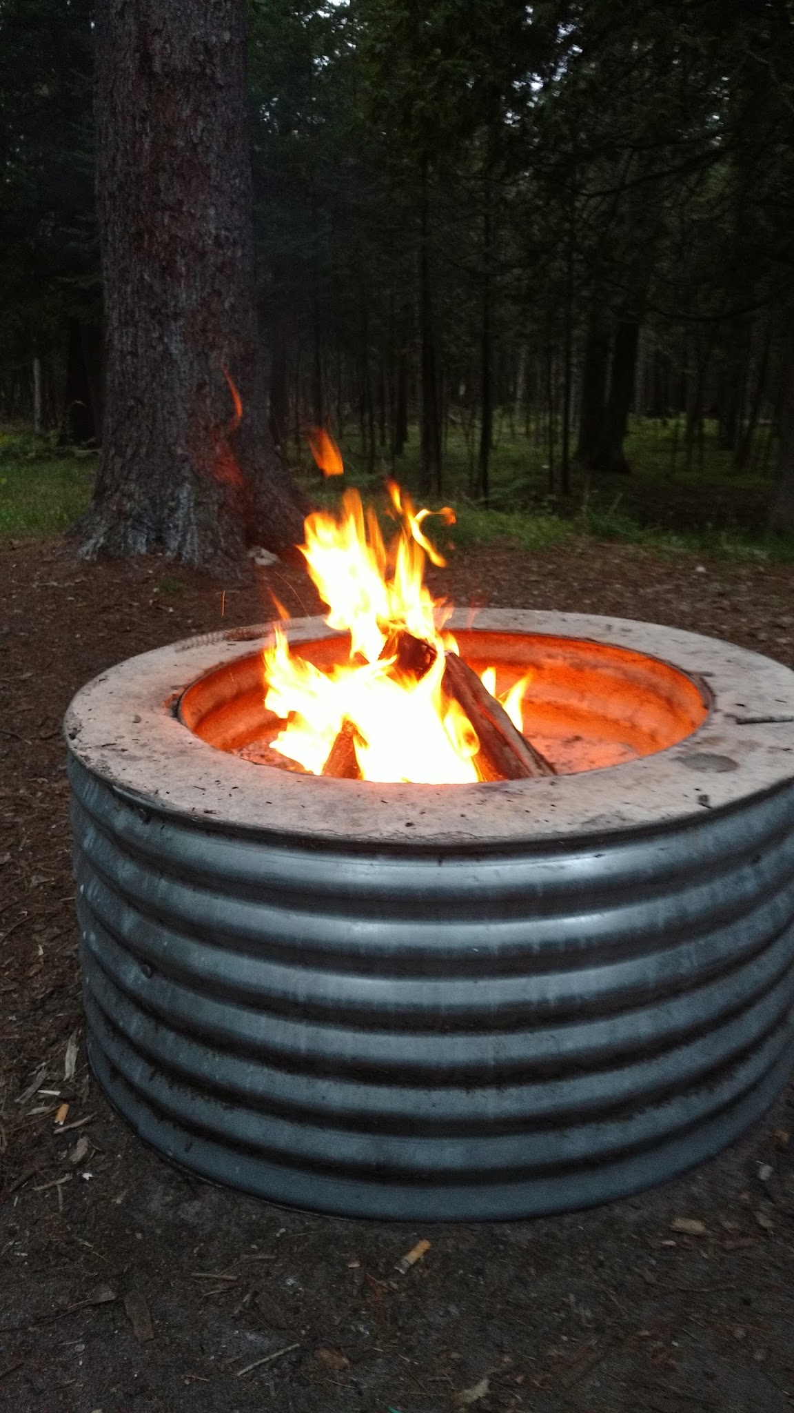 Forks State Forest Campground