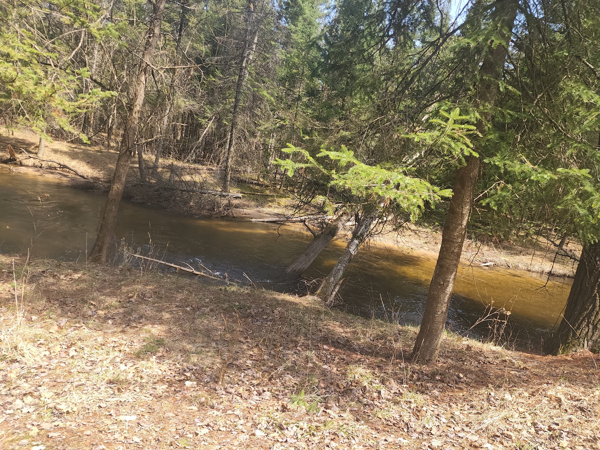 Forks State Forest Campground