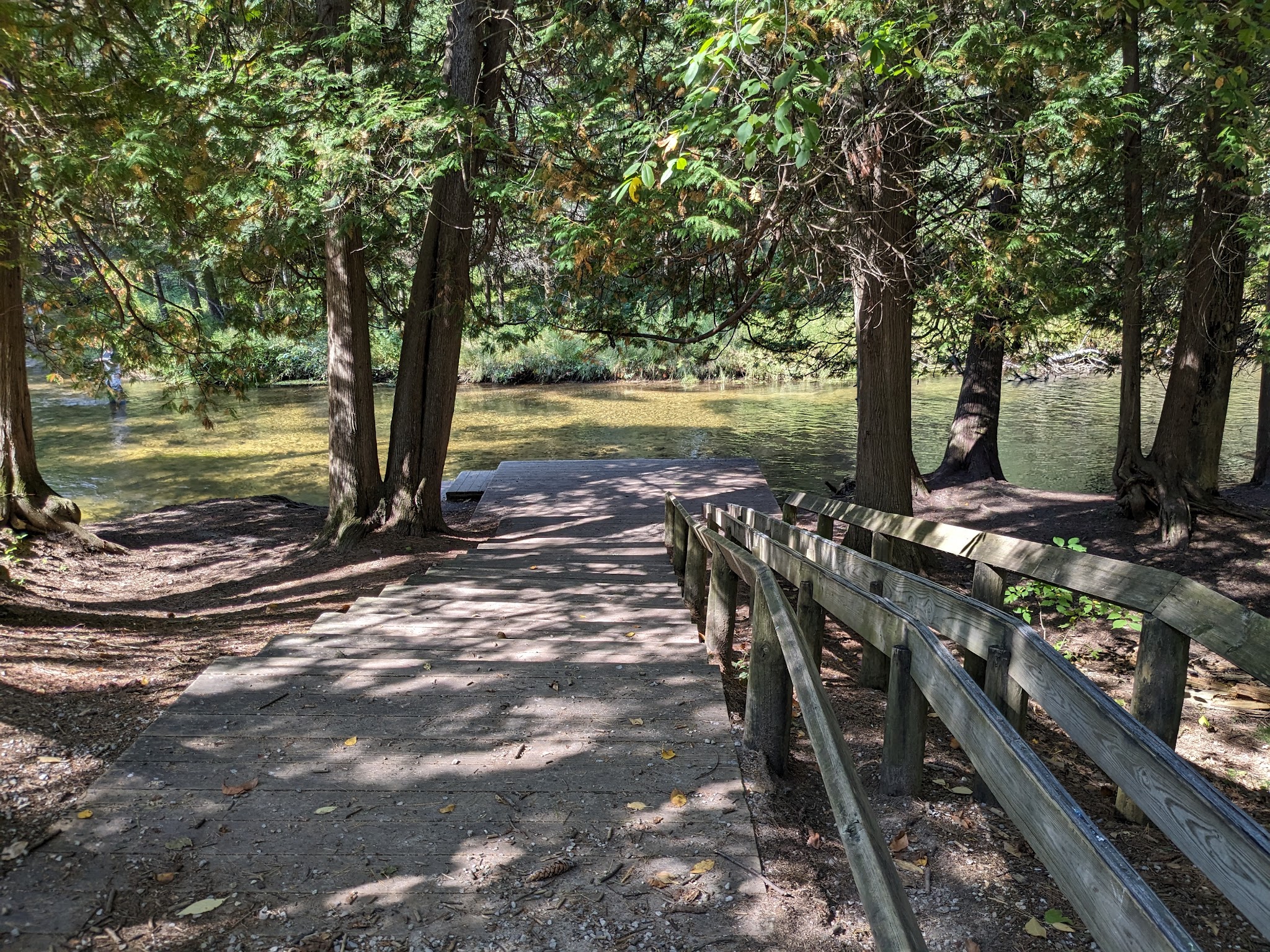 Forks State Forest Campground