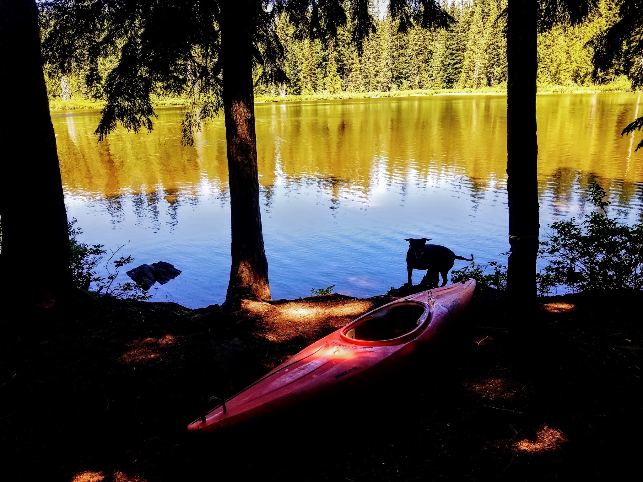 Campground: Forlorn Lakes