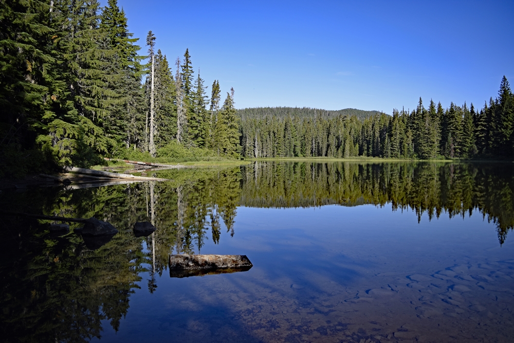 Campground: Forlorn Lakes