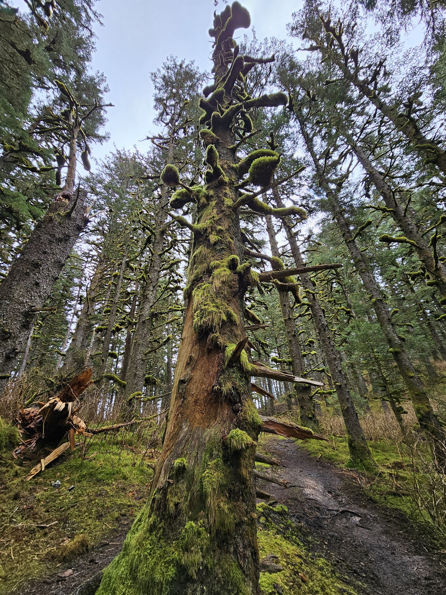 Fort Abercrombie State Historic Park