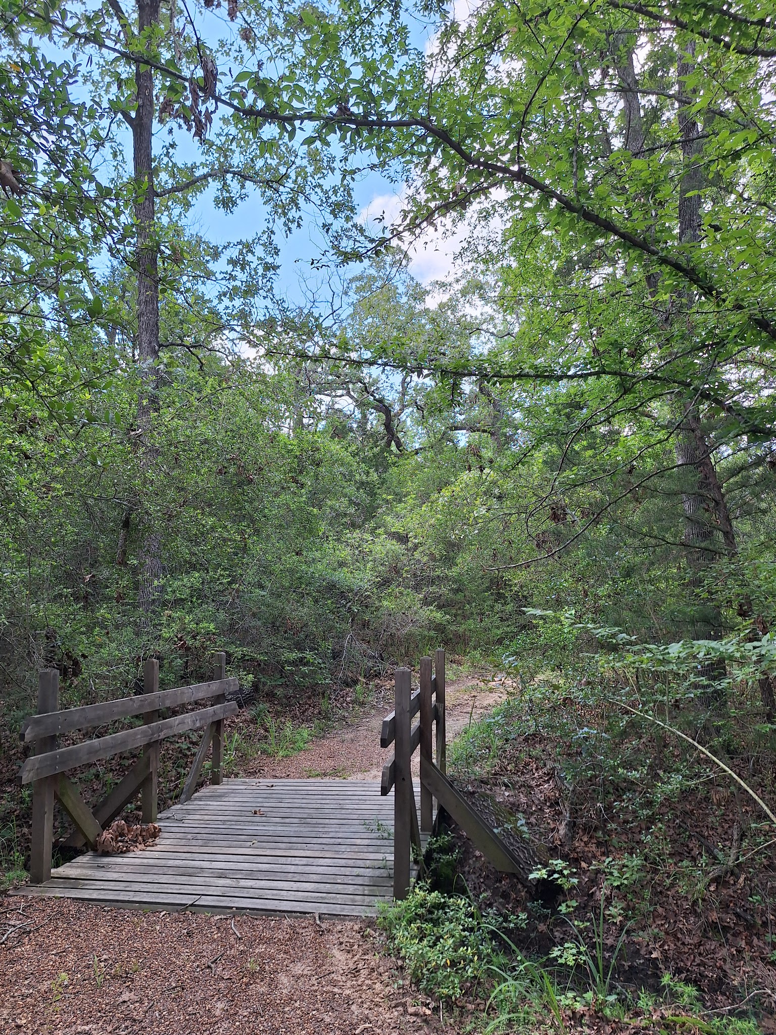Fort Boggy State Park