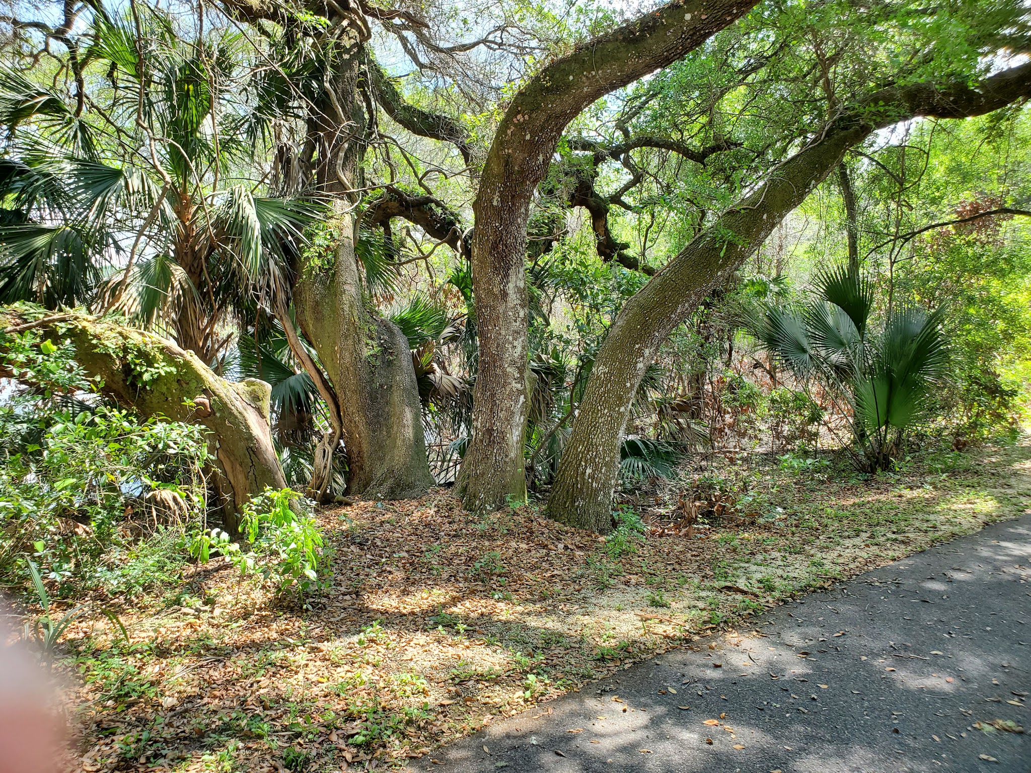 Fort Cooper State Park Campground