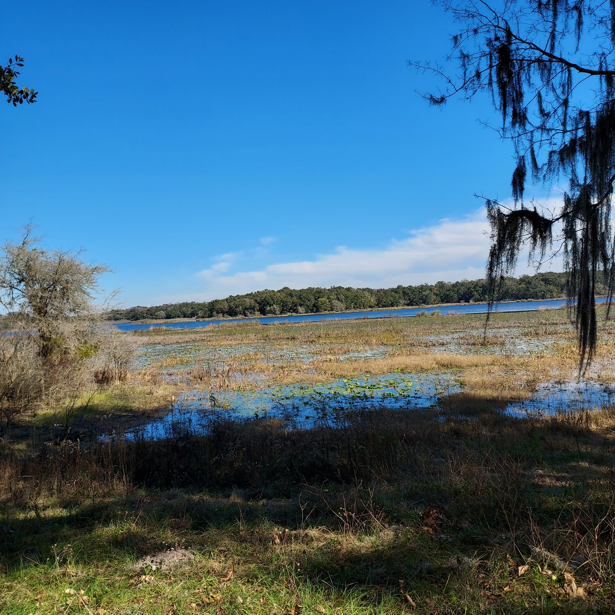 Fort Cooper State Park Campground