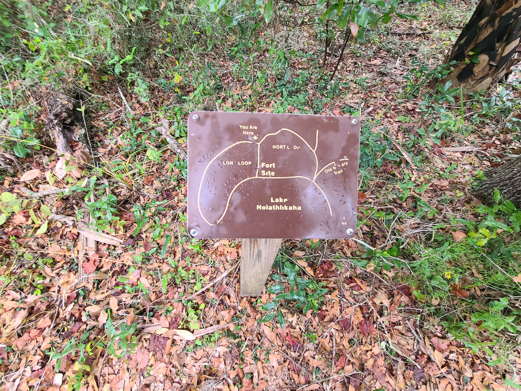 Fort Cooper State Park Campground