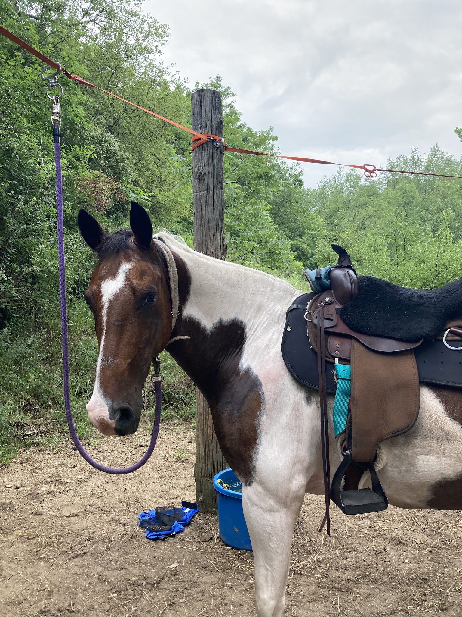 Fort Custer Group Camp