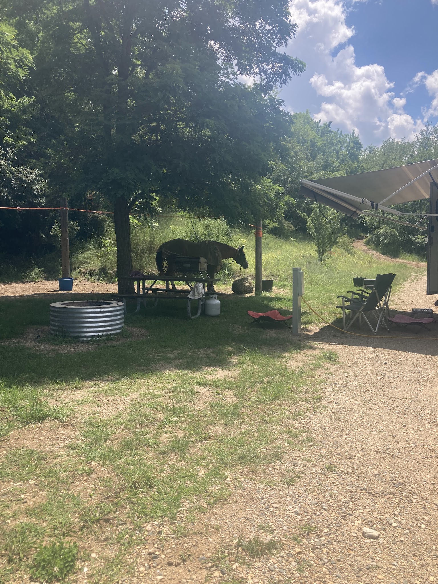 Fort Custer Group Camp