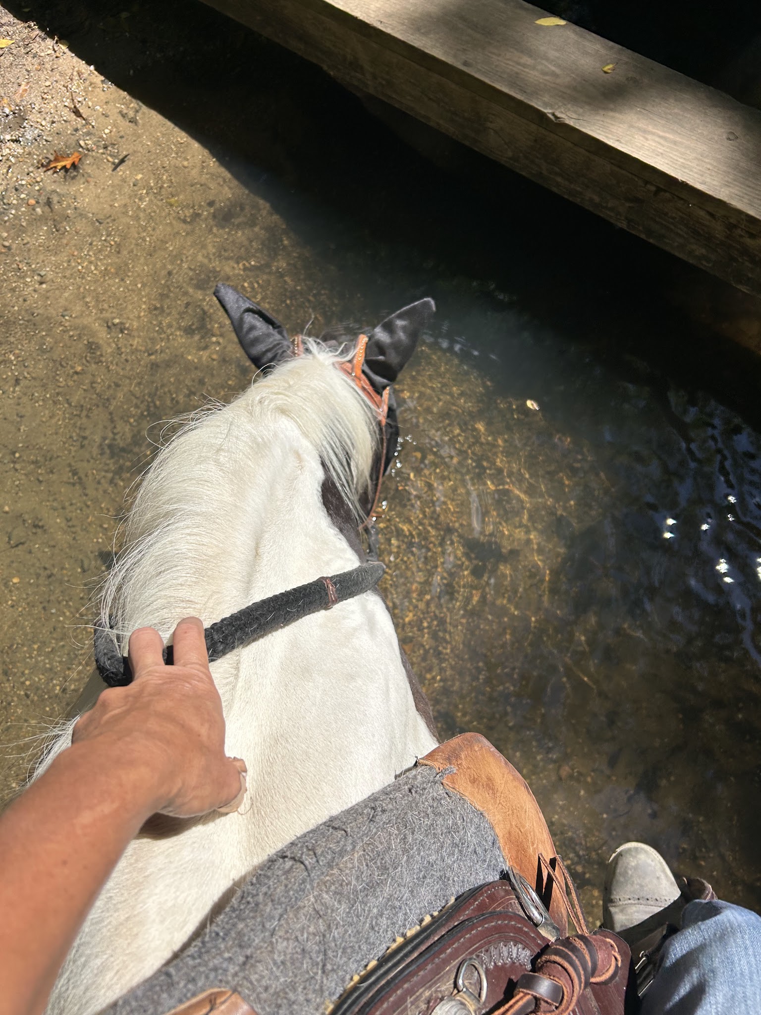 Fort Custer Group Camp