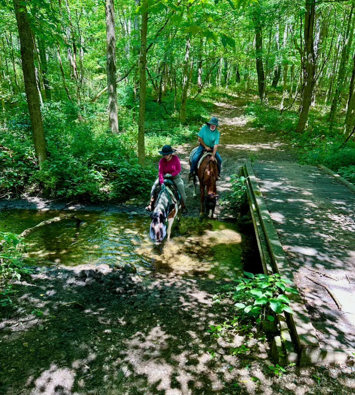 Fort Custer Group Camp