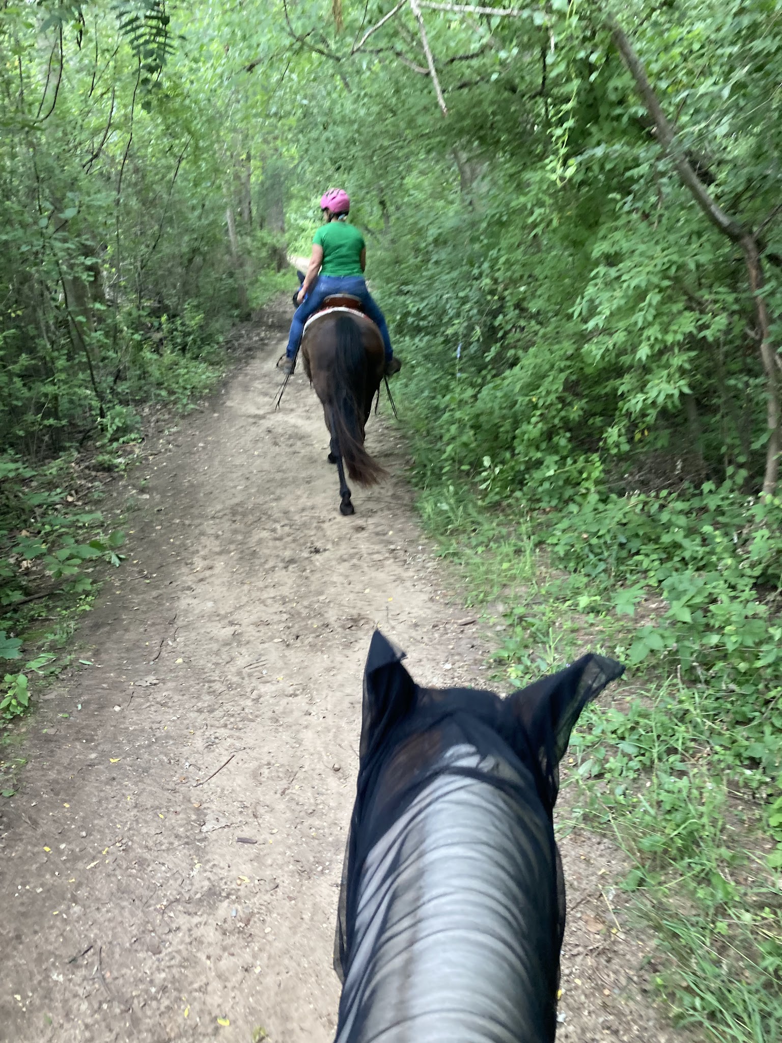 Fort Custer Group Camp