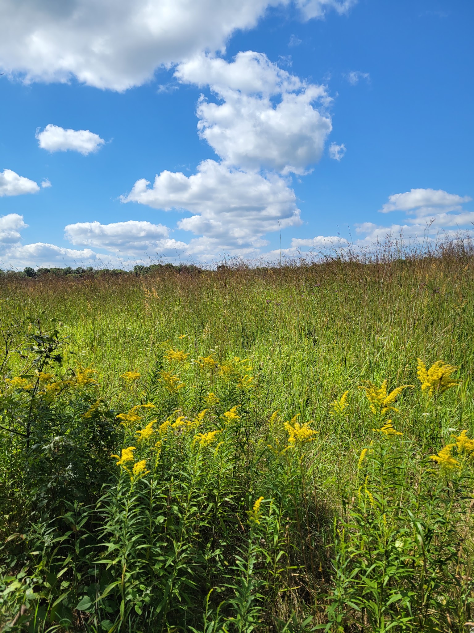 Fort Custer Campground