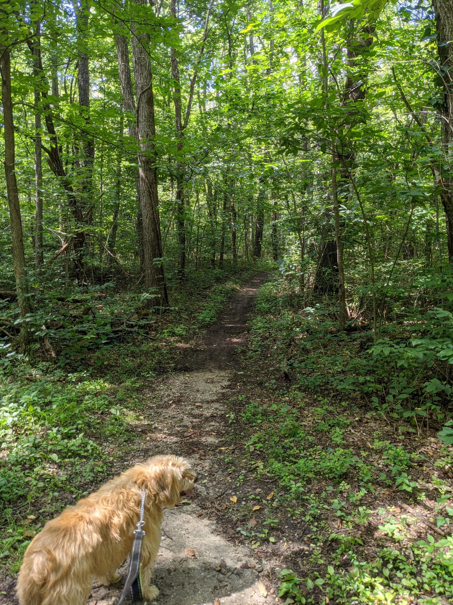 Fort Custer Campground