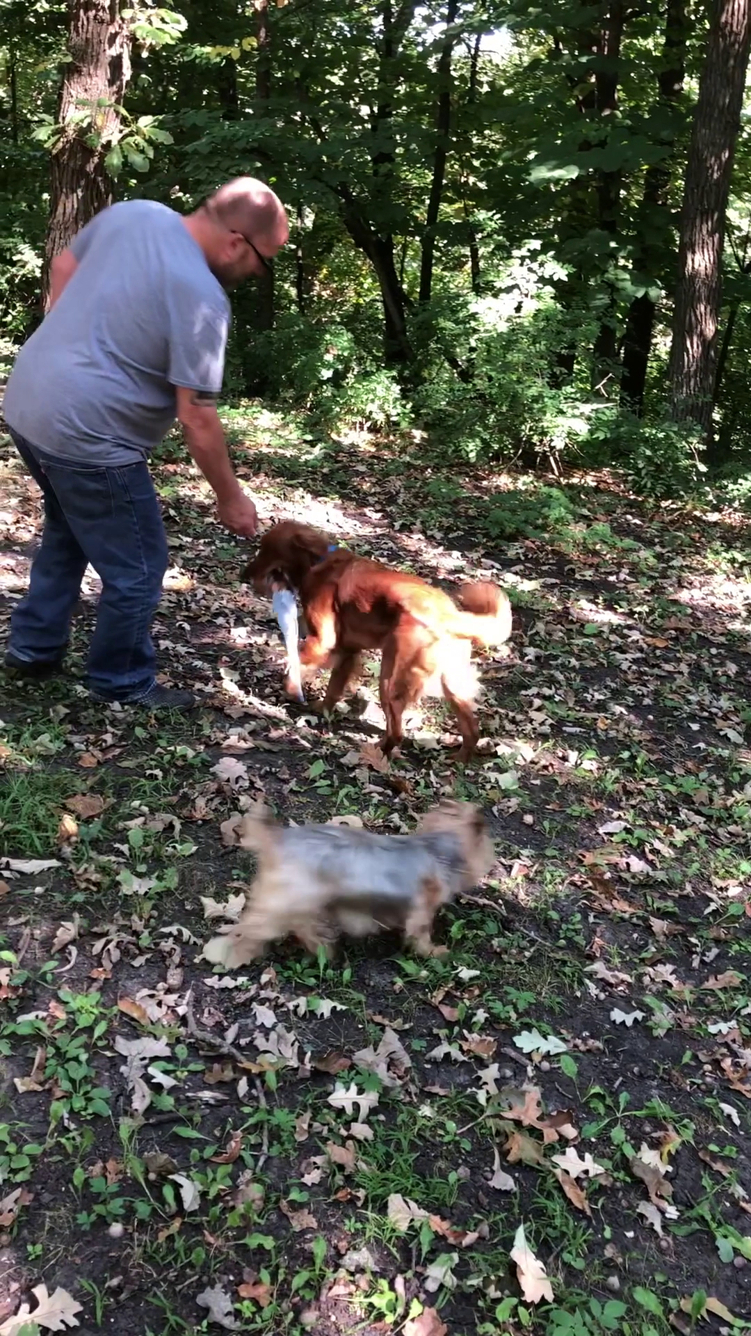 Fort Defiance State Park