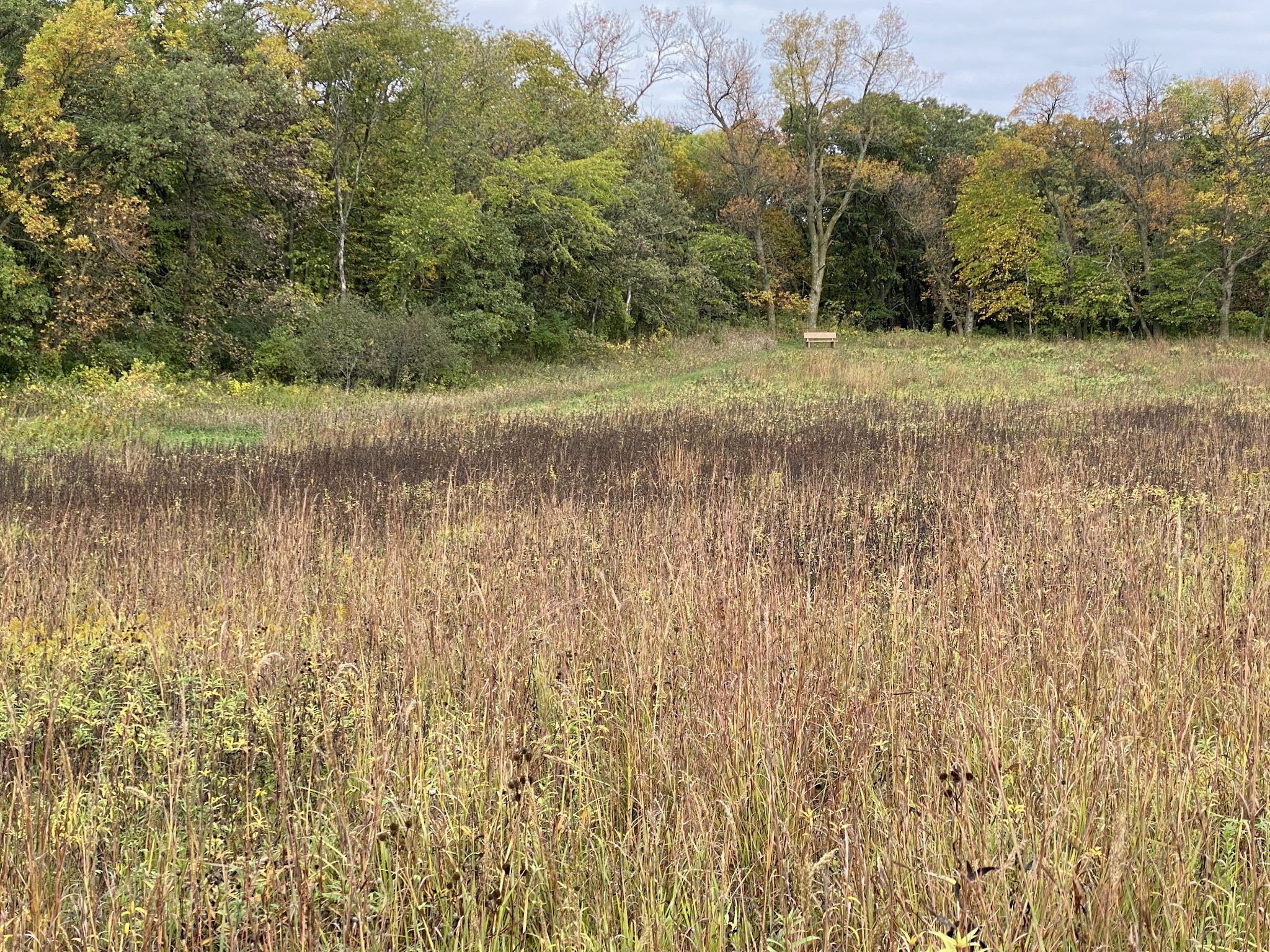 Fort Defiance State Park