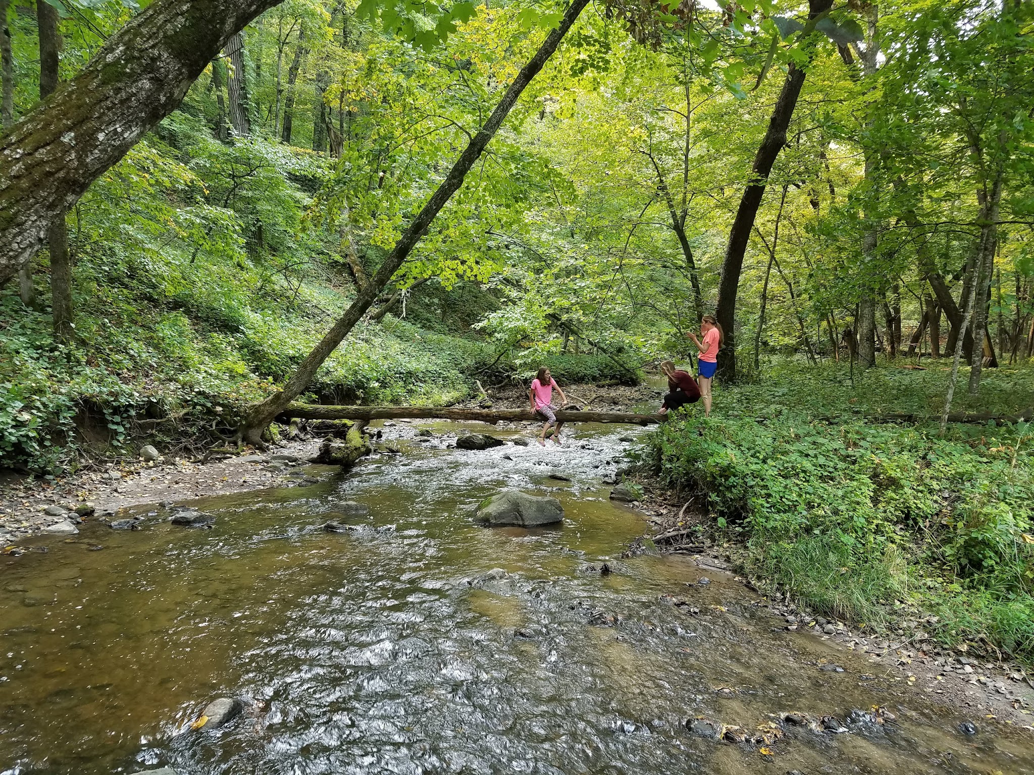 Fort Defiance State Park