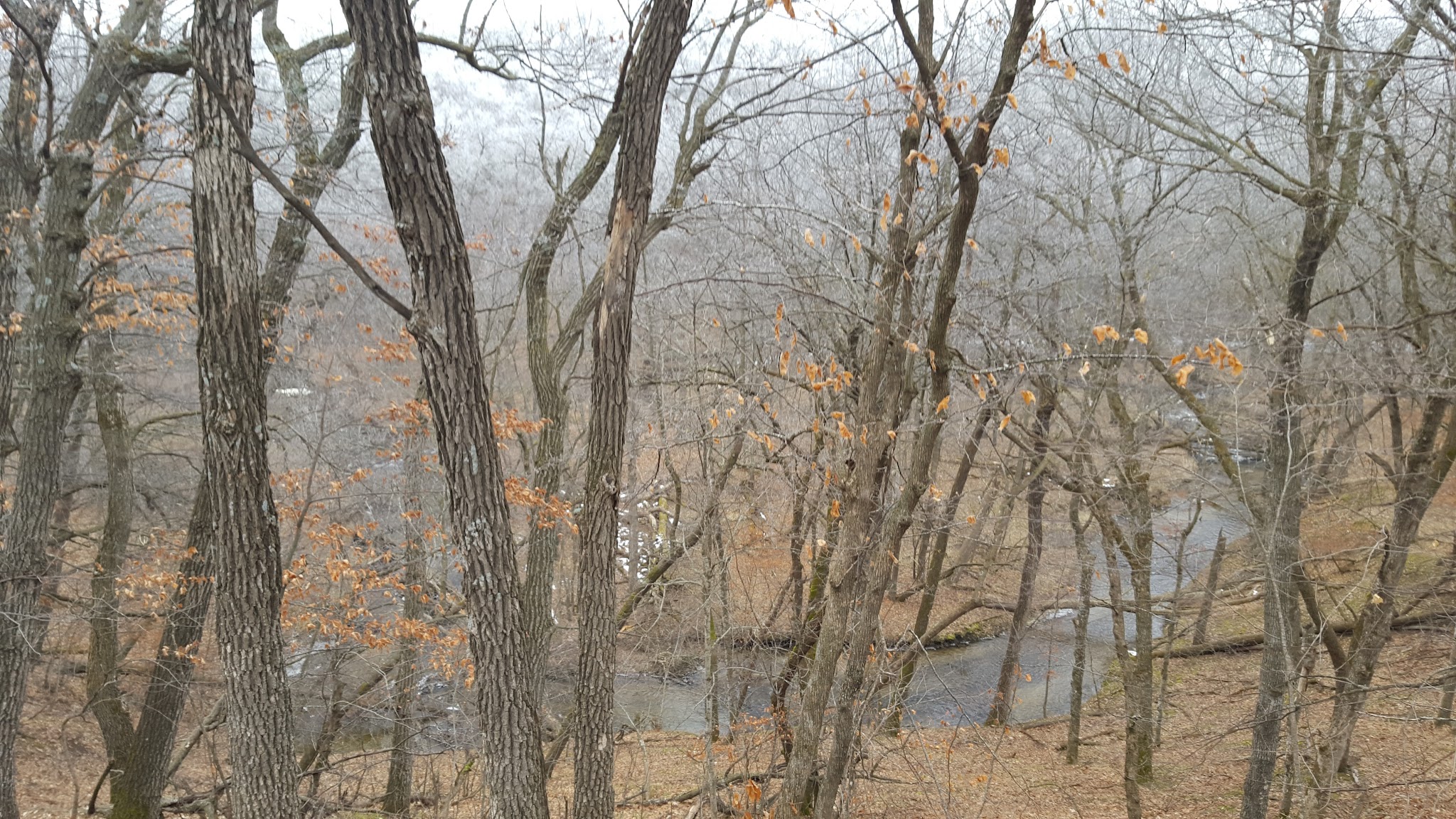 Fort Defiance State Park