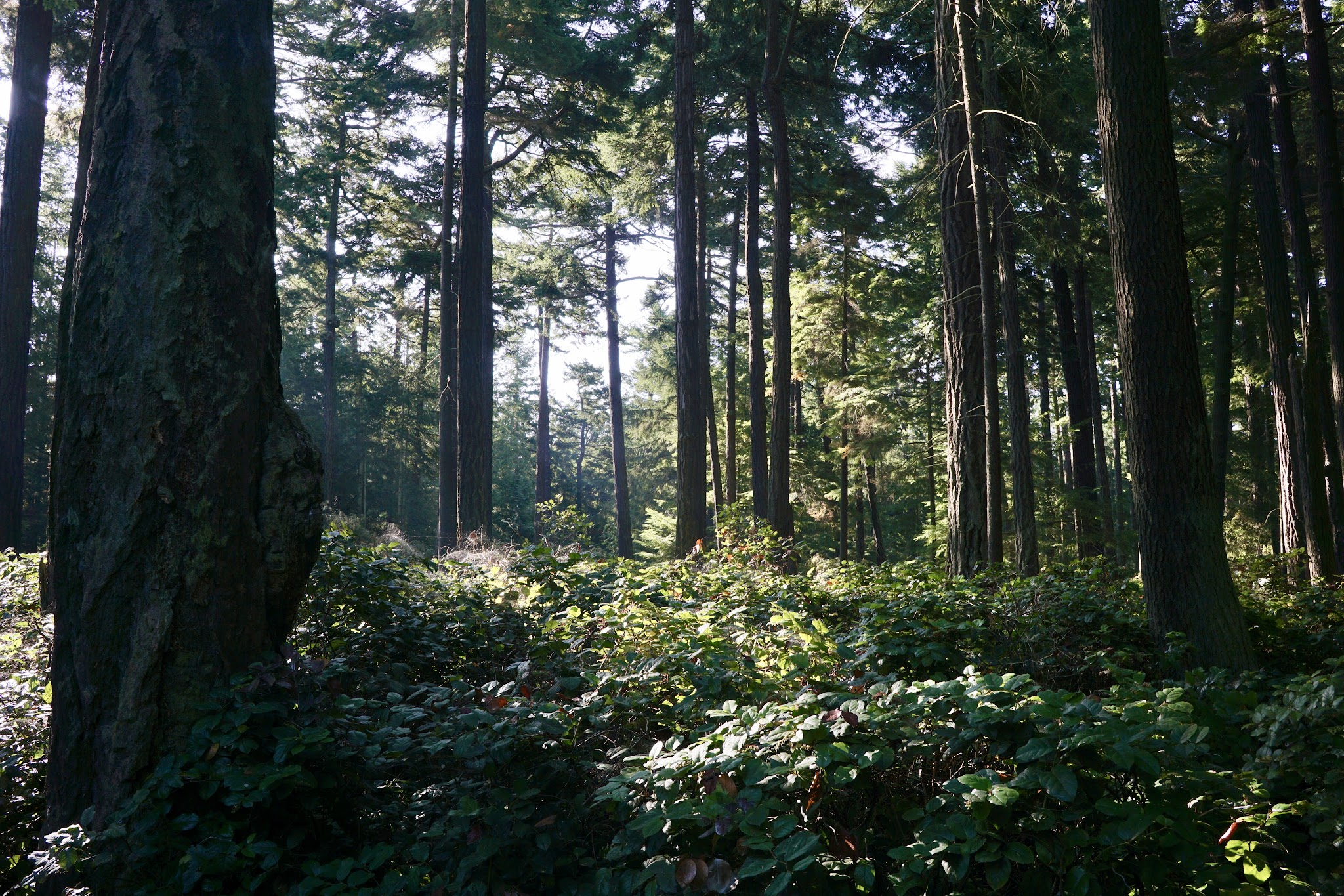 Fort Ebey State Park