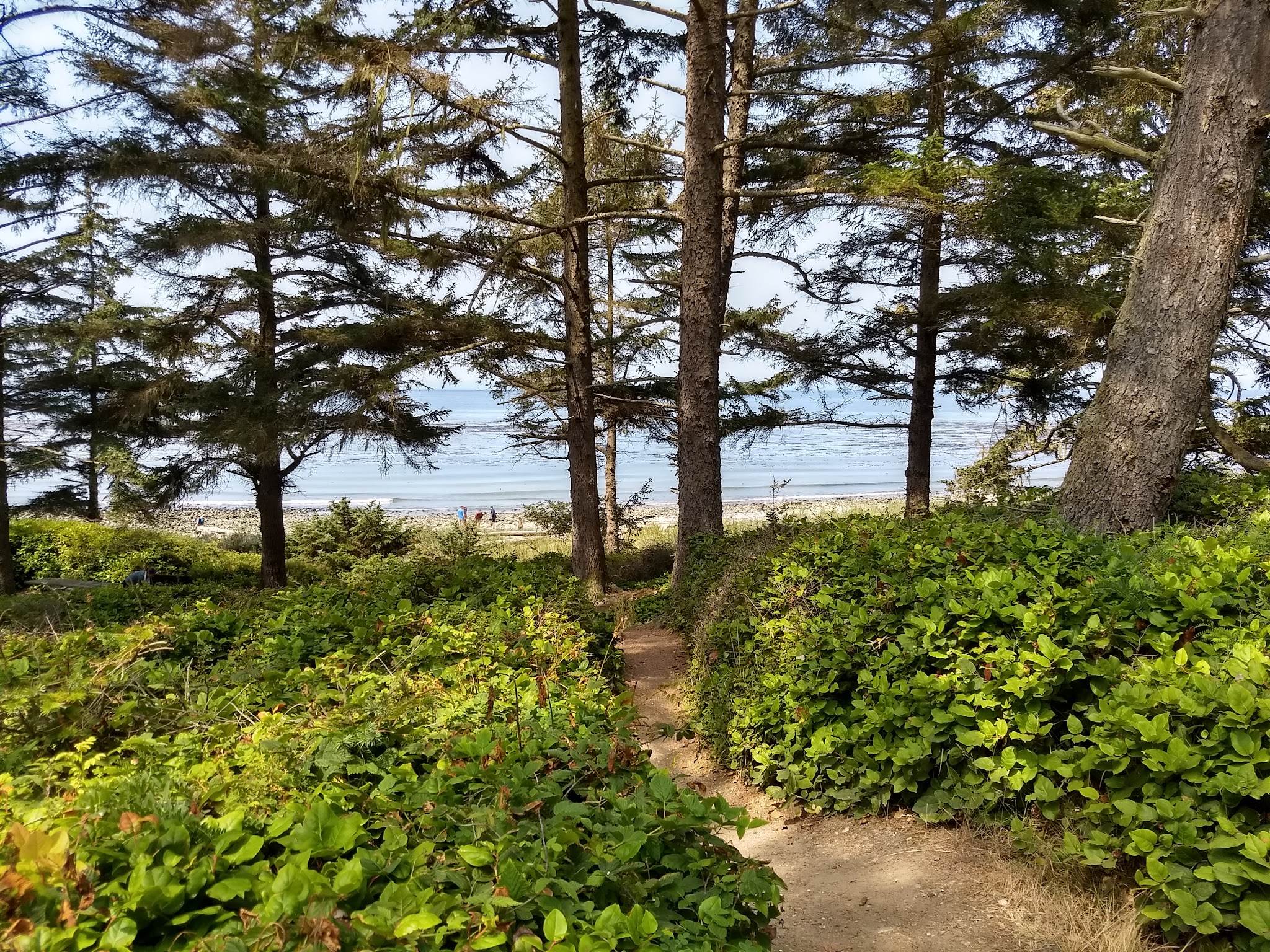 Fort Ebey State Park