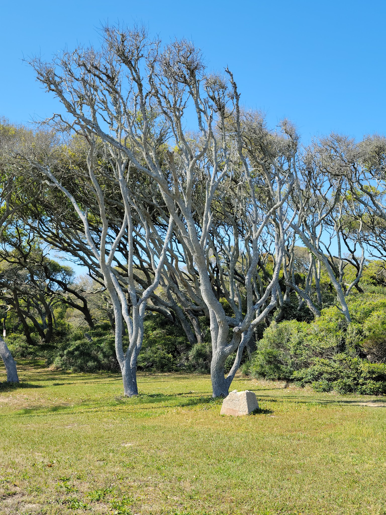 Fort Fisher State Recreation Area