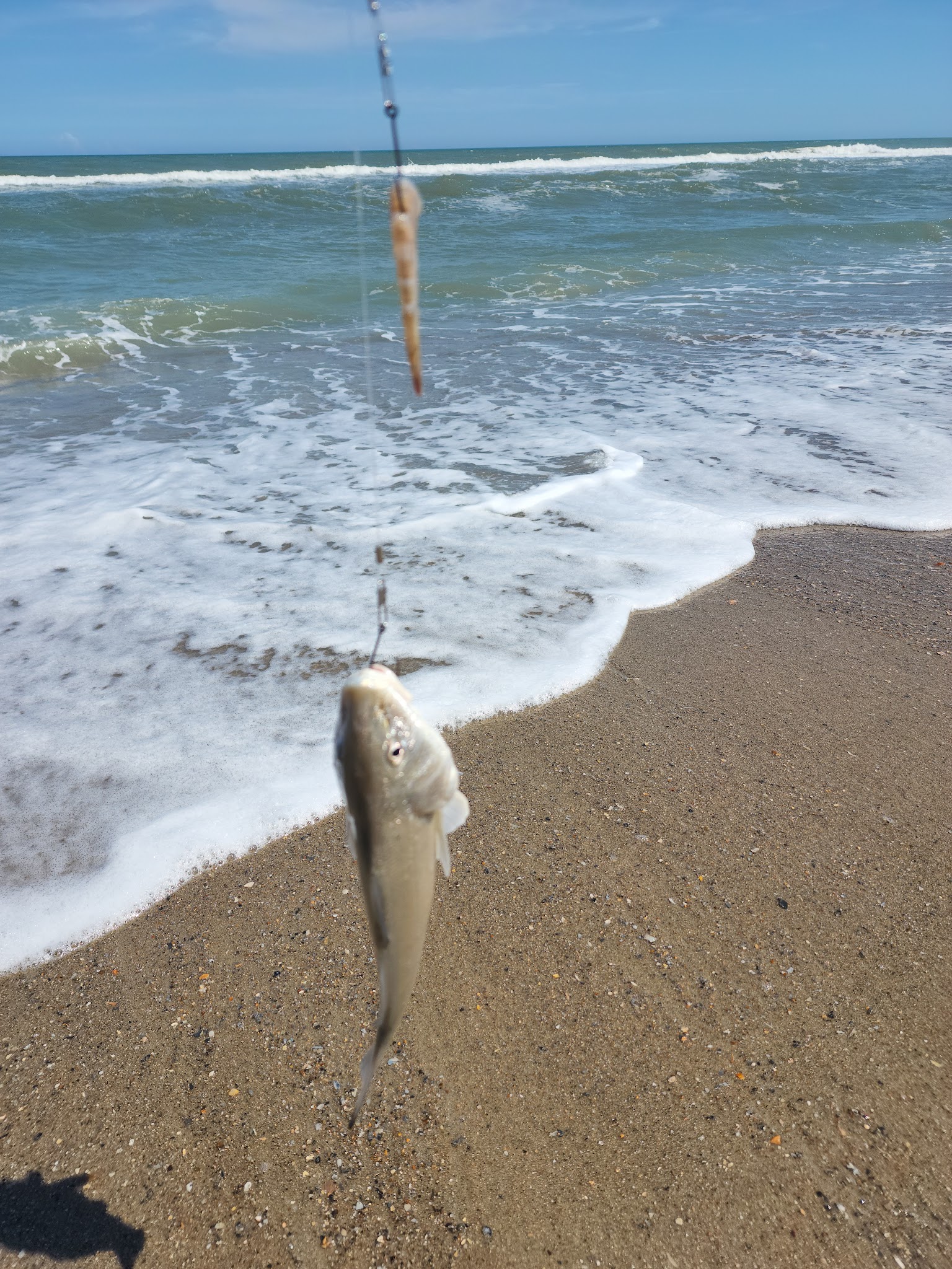 Fort Fisher State Recreation Area