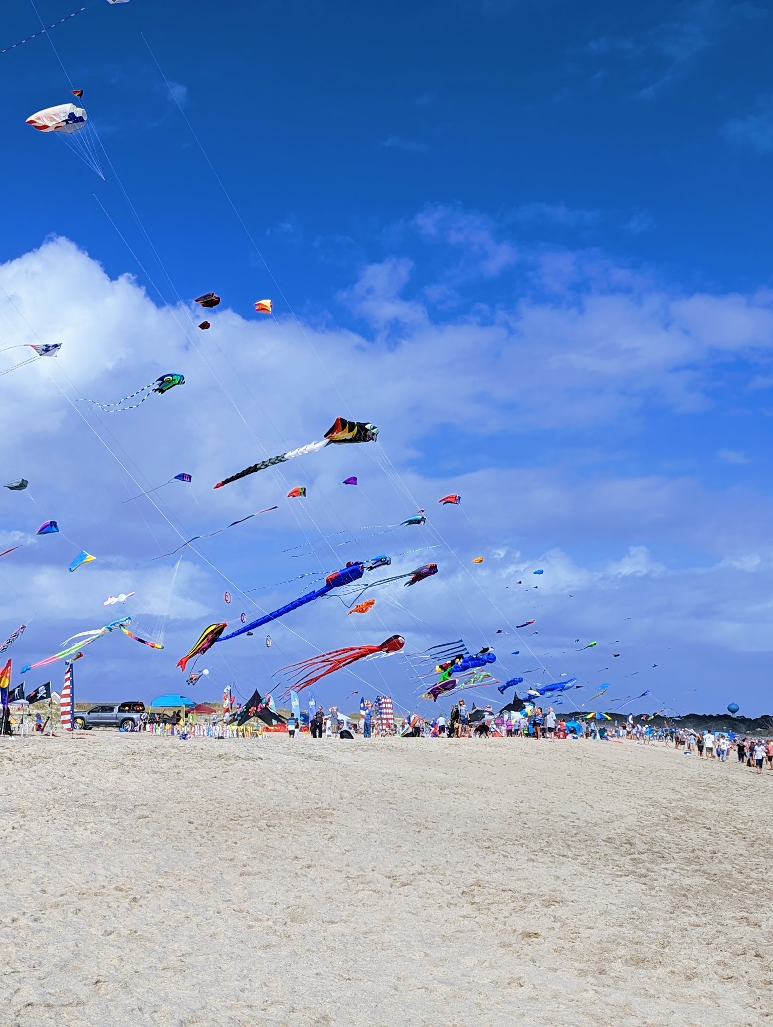 Fort Fisher State Recreation Area