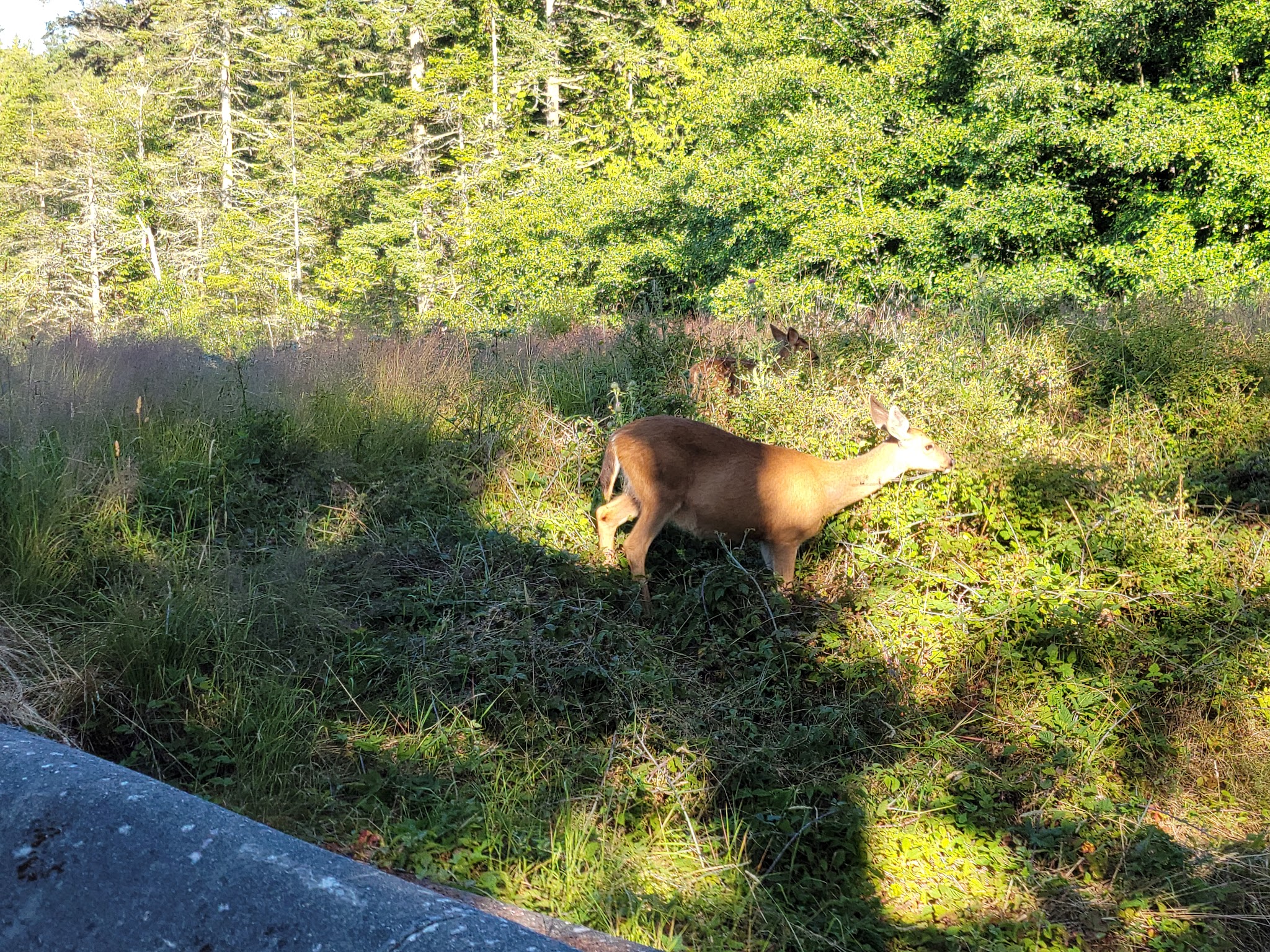 Fort Flagler State Park